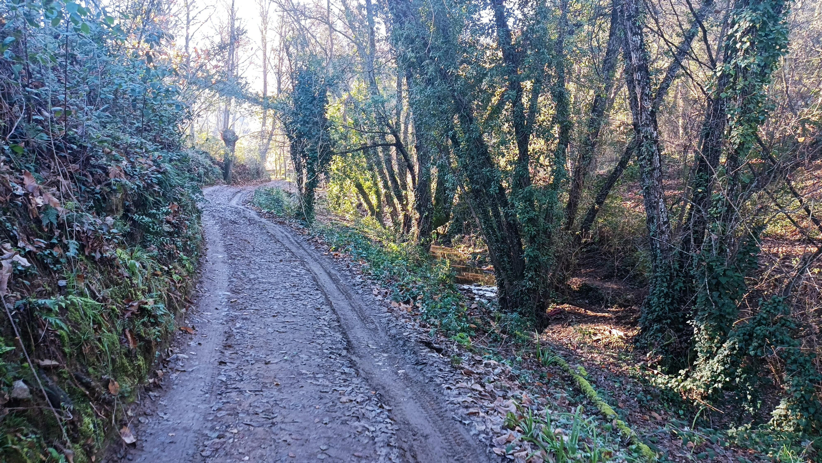 Pasado el cruce, el camino se ensancha.