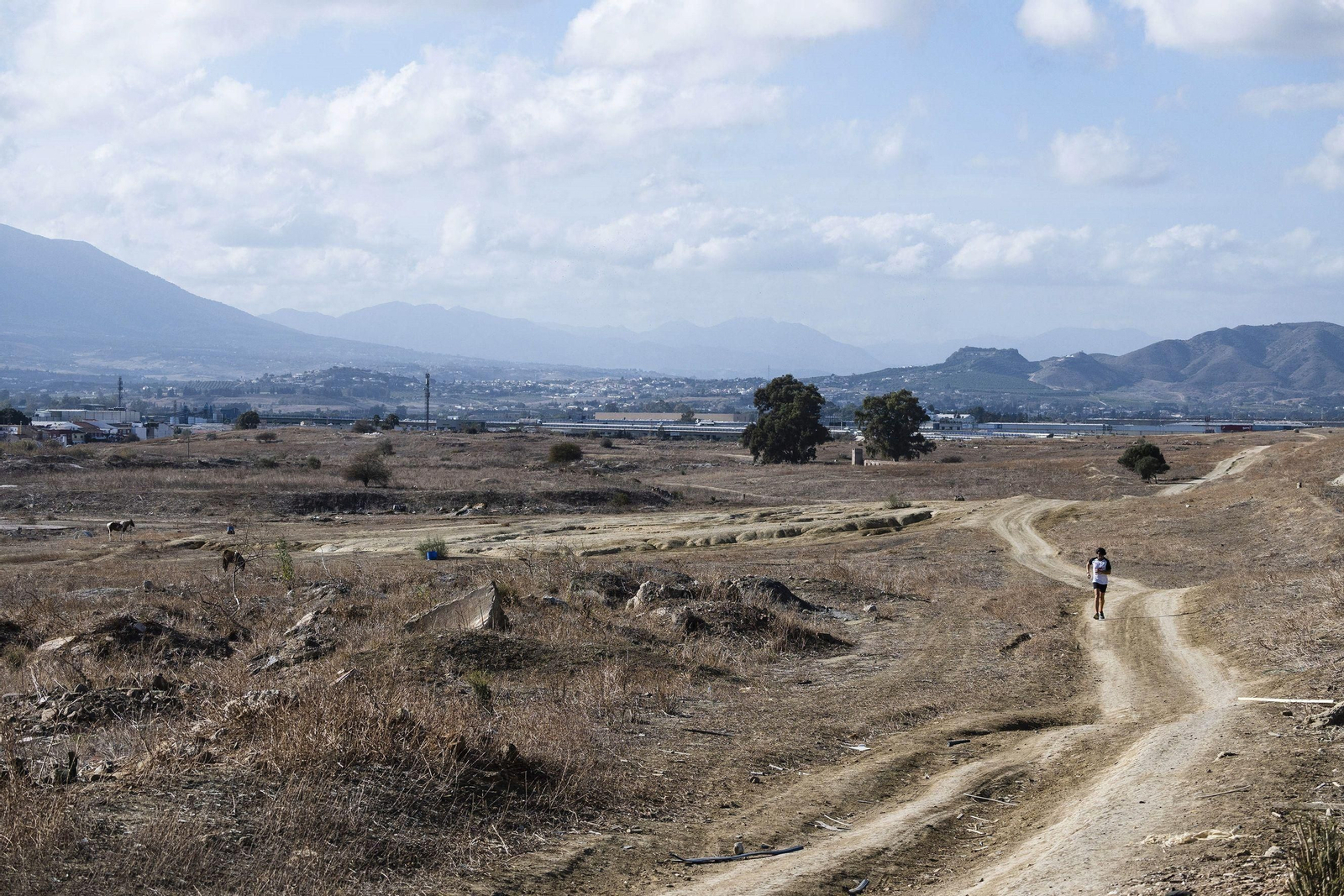 Terrenos en los que se proyectan 1.360 VPO de alquiler.