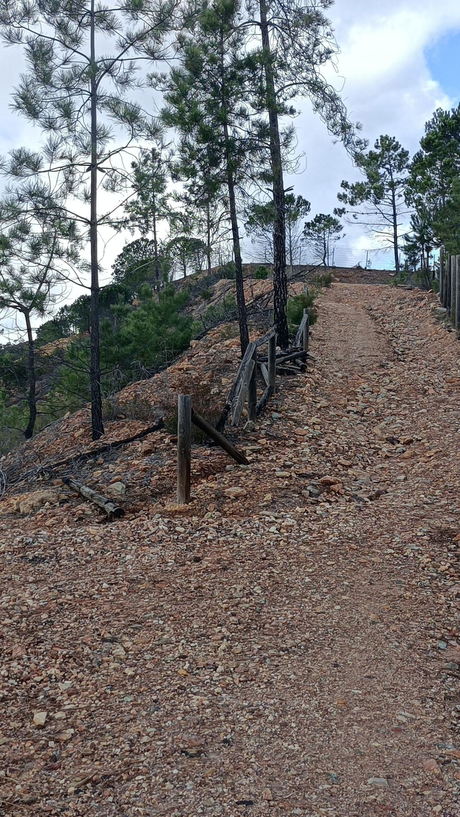 Encadenamos varios zigzagueos para amortiguar las subidas.