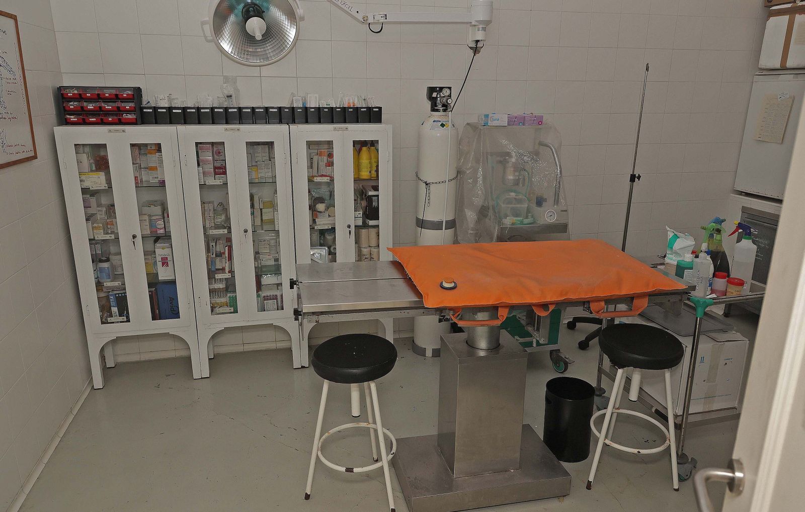 El Centro de Gestión del Medio Marino Andaluz (CEGMA) de Algeciras, en imágenes