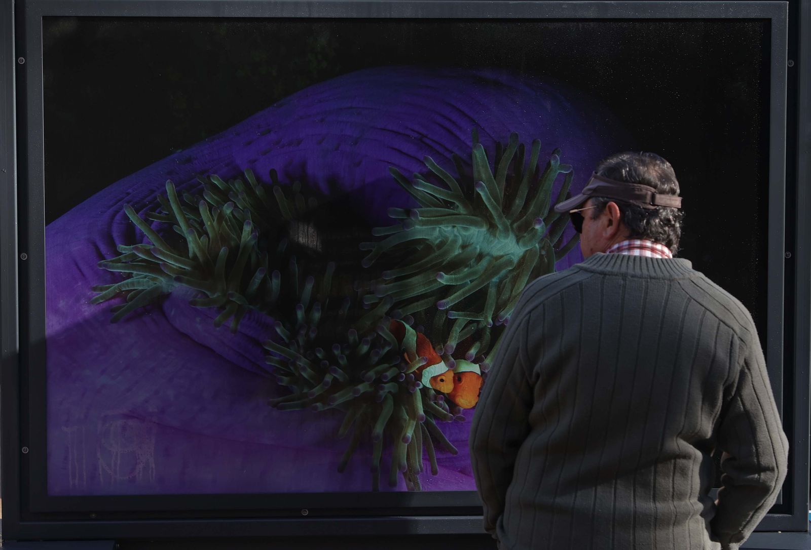 La exposición 'Colores del Mundo' del parque María Cristina de Algeciras, en imágenes