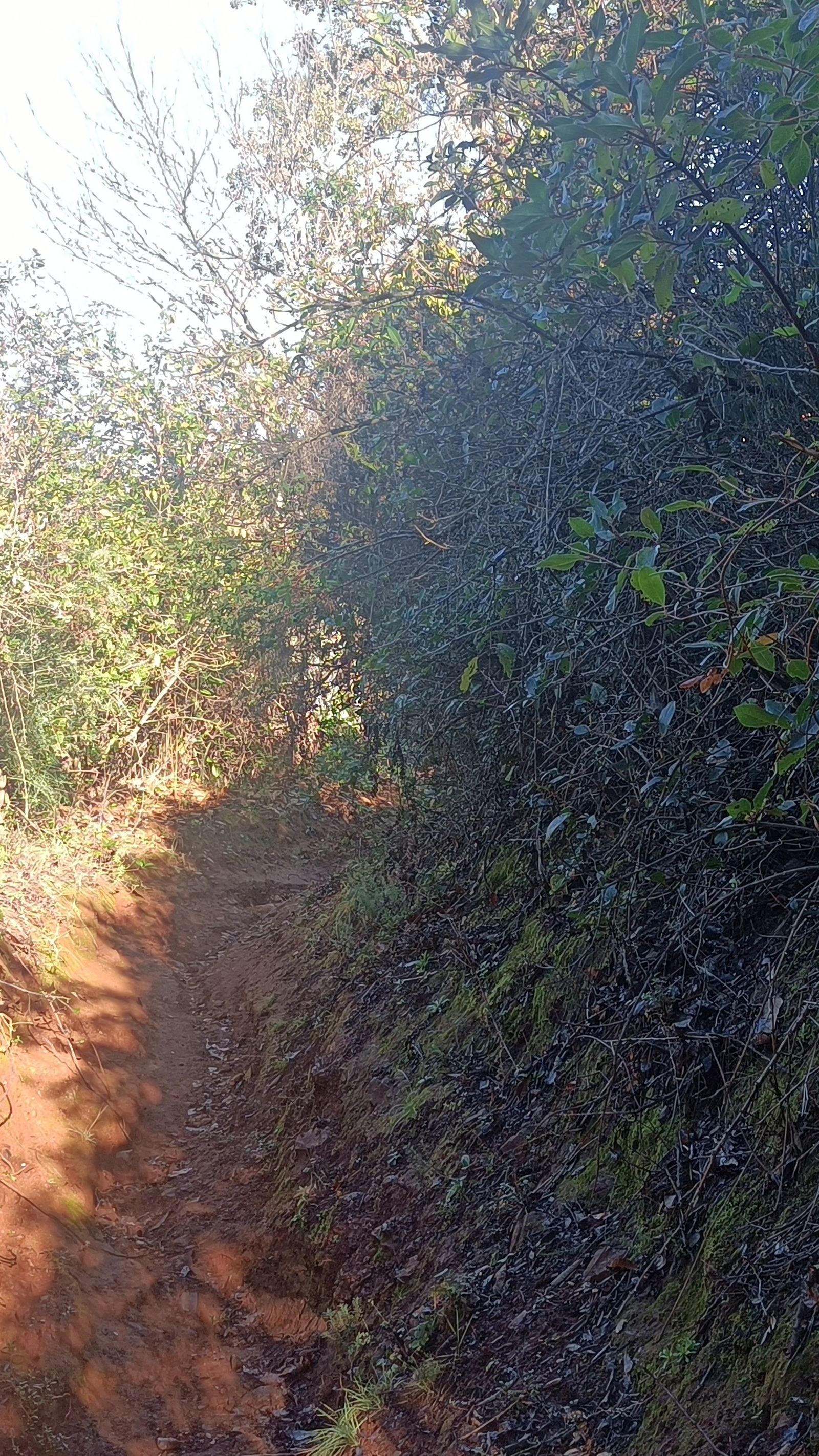 El descenso puede ser dificultoso en ocasiones.