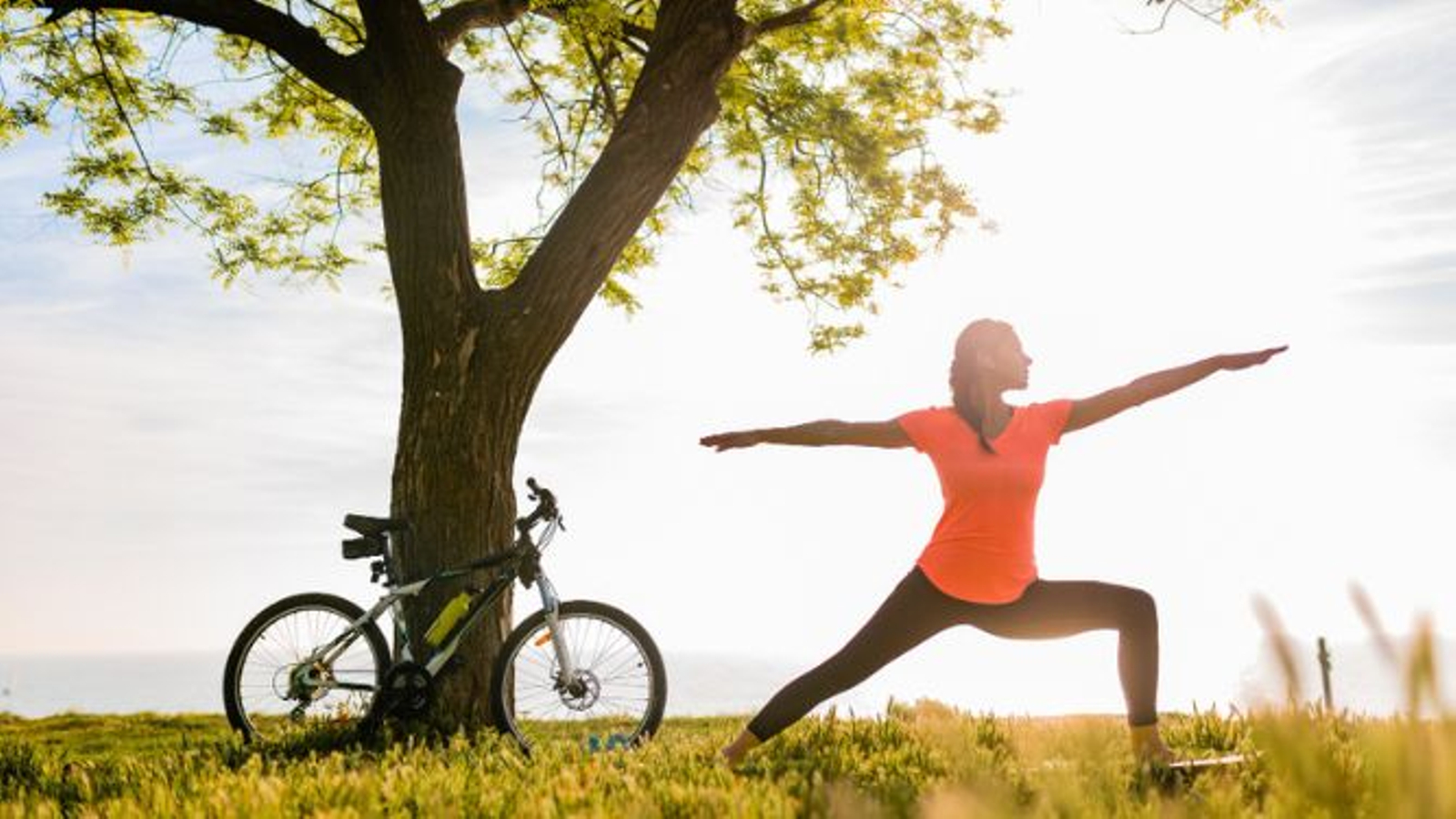 Mujer haciendo ejercicio.