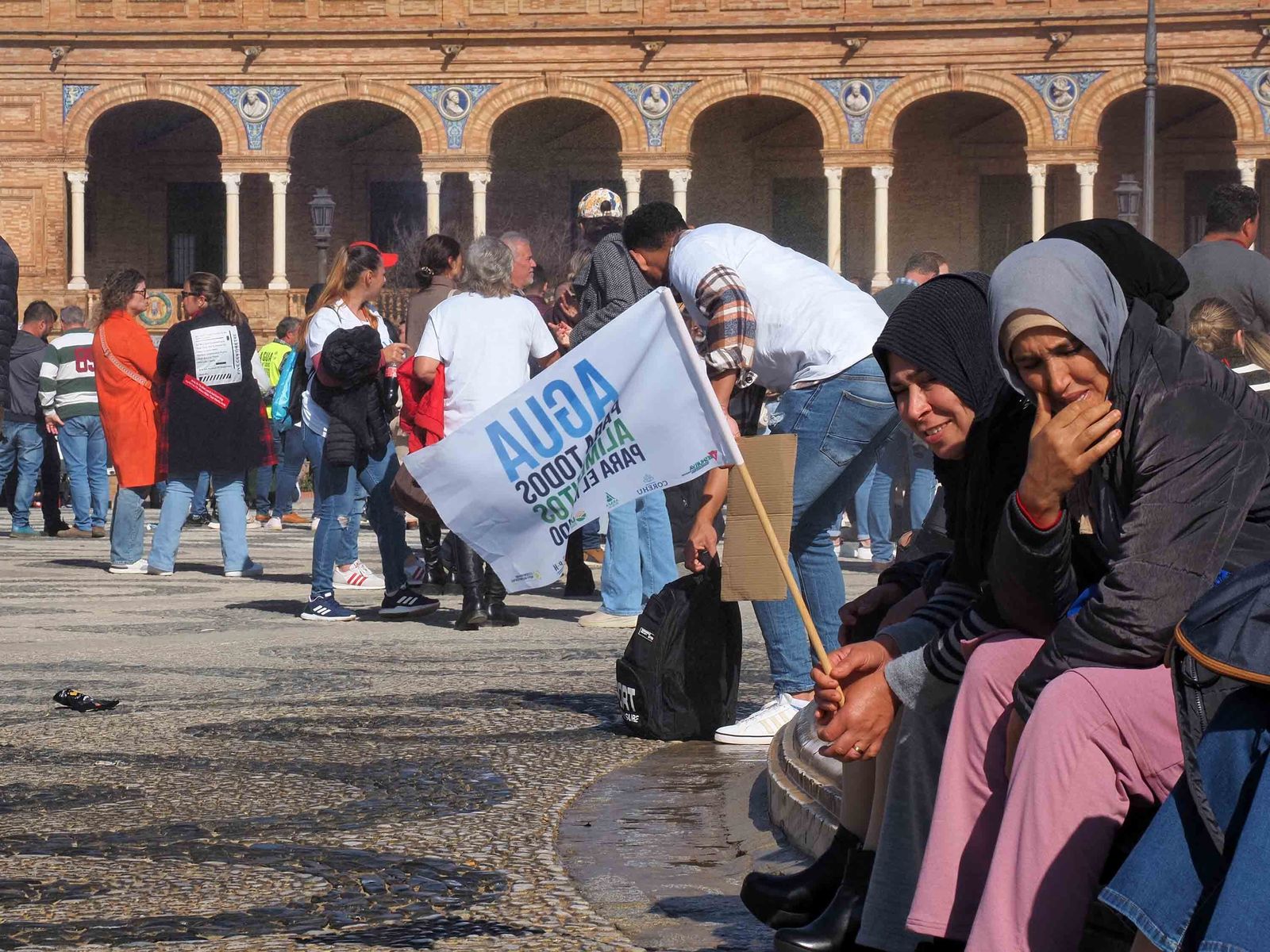 Las mejores imágenes de la manifestación de los agricultores de Huelva en Sevilla
