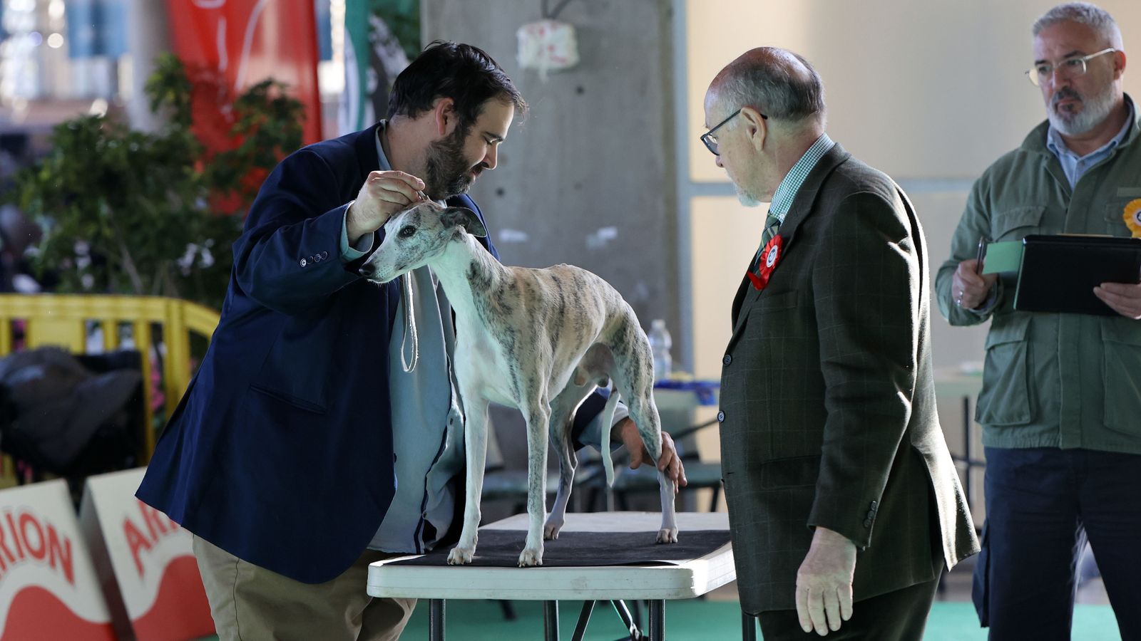 Imágenes de la 49ª edición de la Exposición Nacional Canina y la 25ª edición de la Exposición Internacional Canina en IFECA Jerez