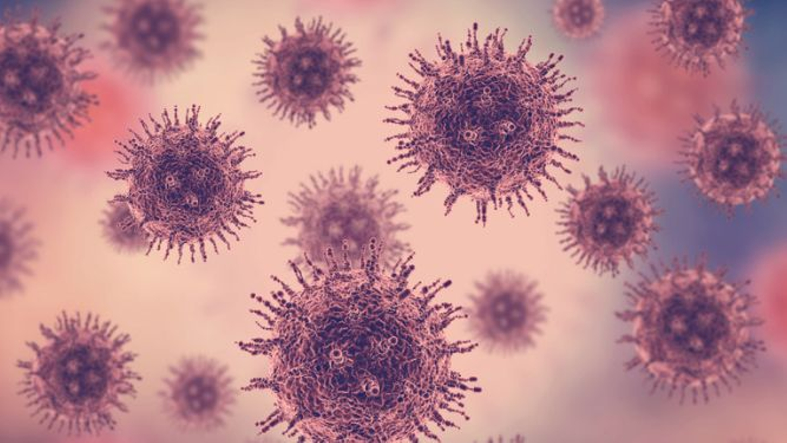 JN.1, la nueva variante Covid que domina el mundo