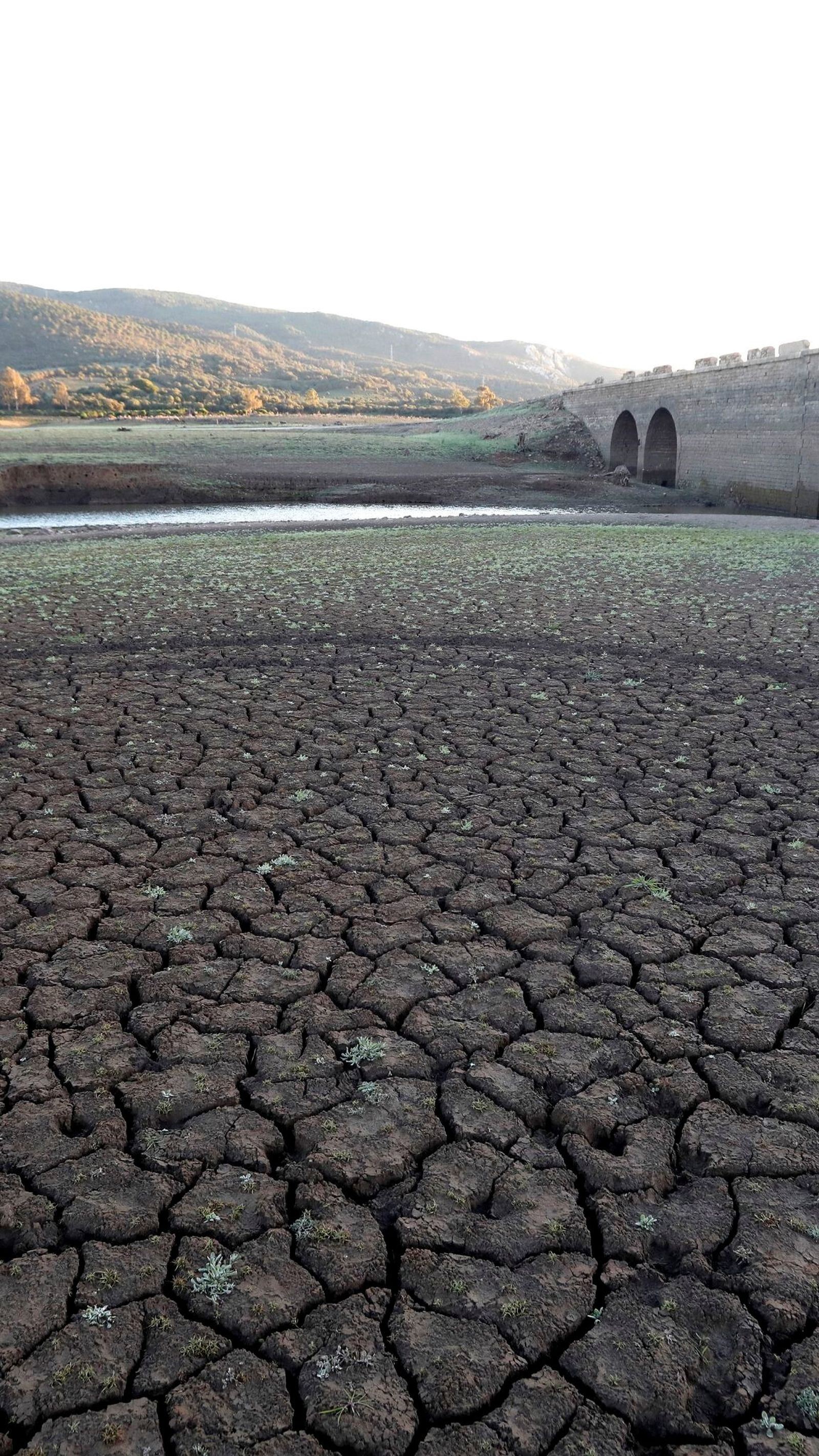Imagen del embalse de Charco Redondo en la localidad e Los Barrios.
