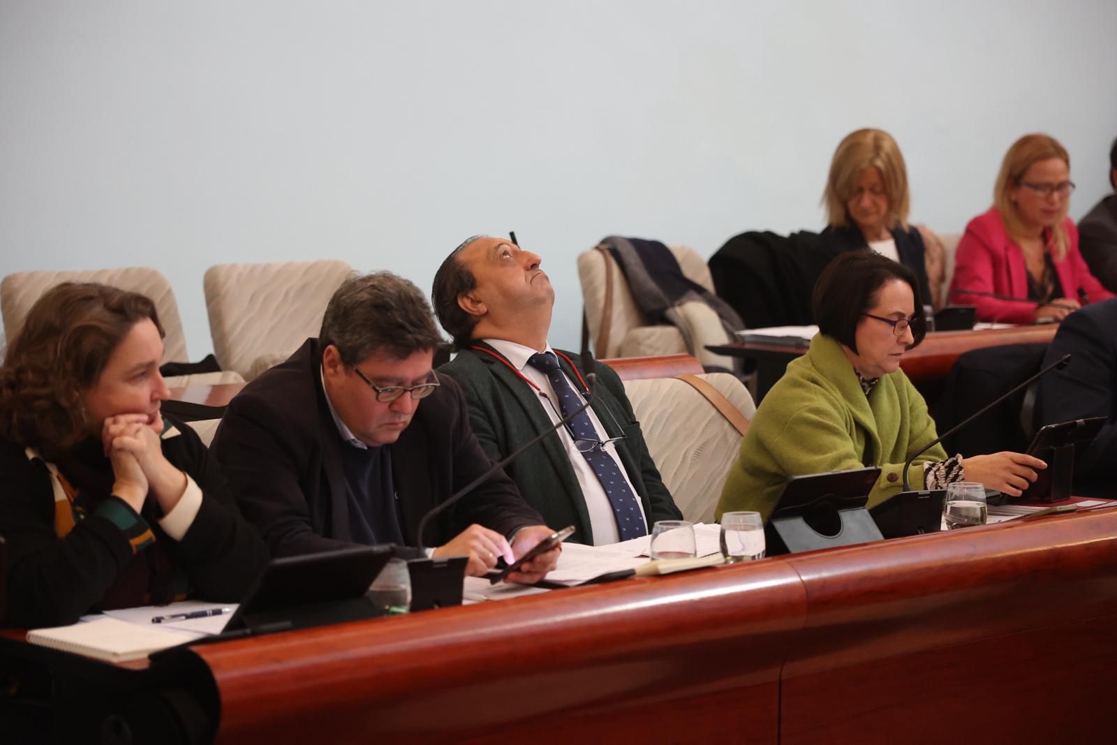 El delegado de Cultura y Fiestas, Francisco Zurita, en el centro de la imagen, durante el pleno.