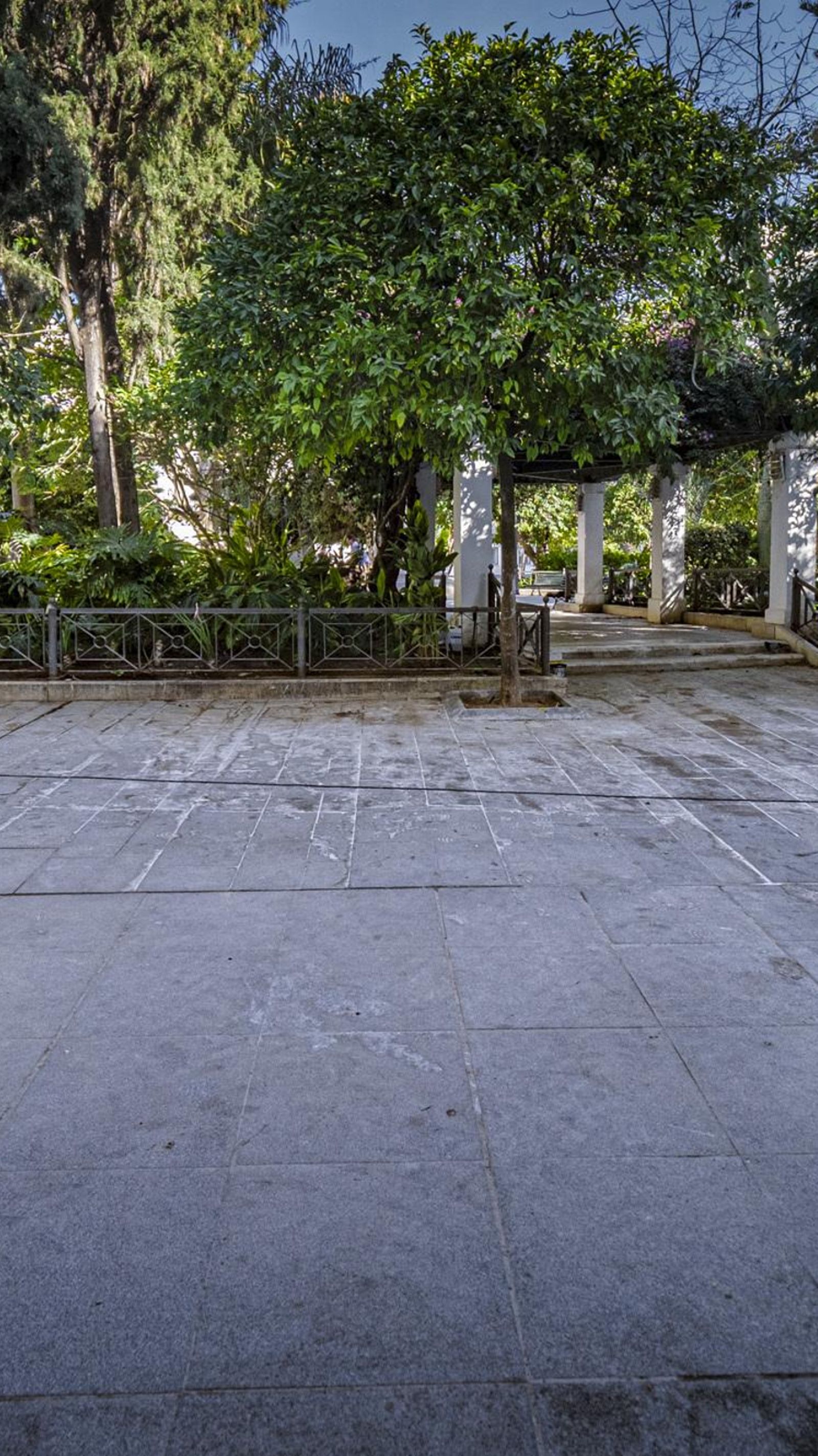 Parte del perímetro de la plaza ha quedado así de desangelado sin los olmos retirados.