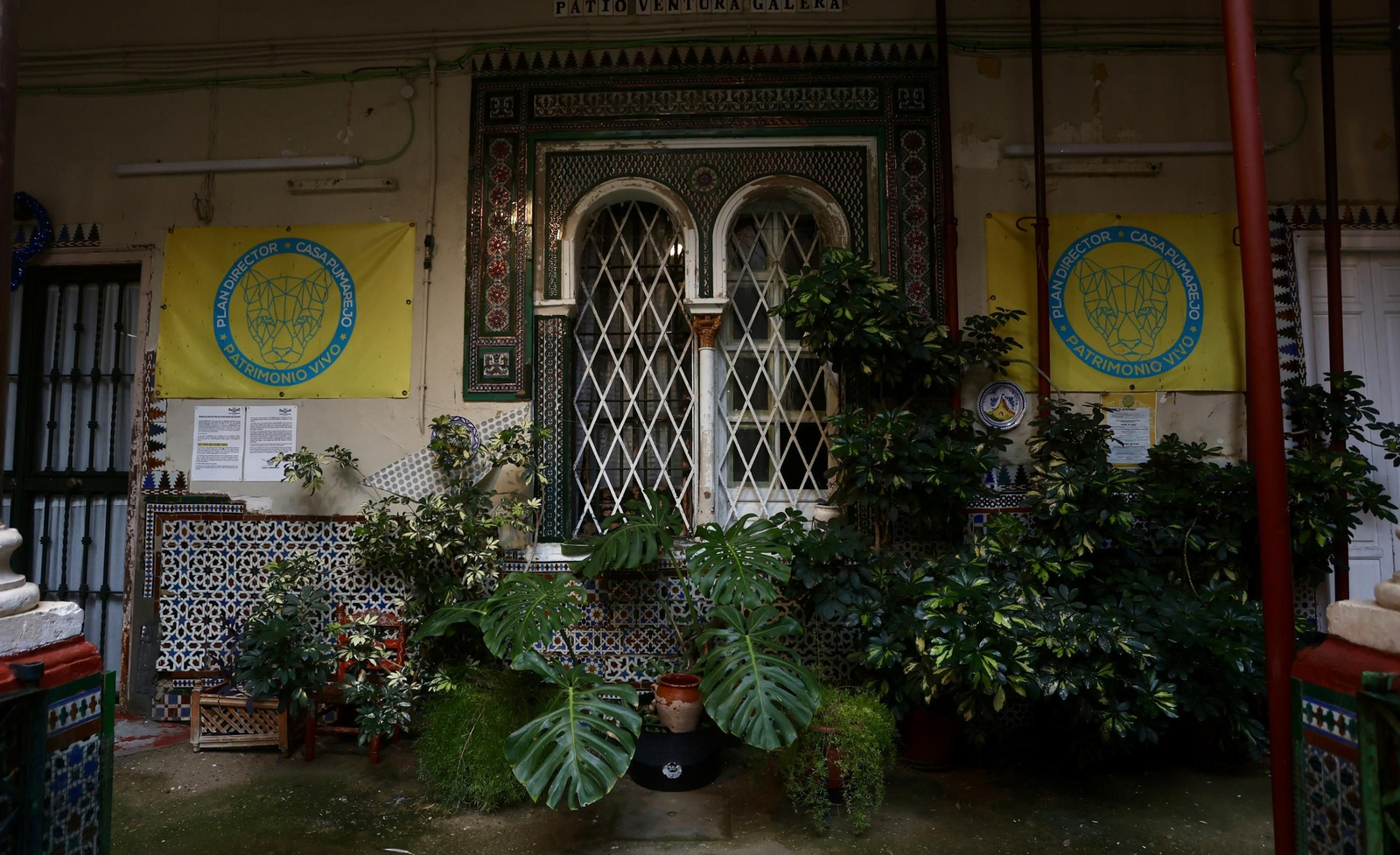 Esto es un titulo de foto 10