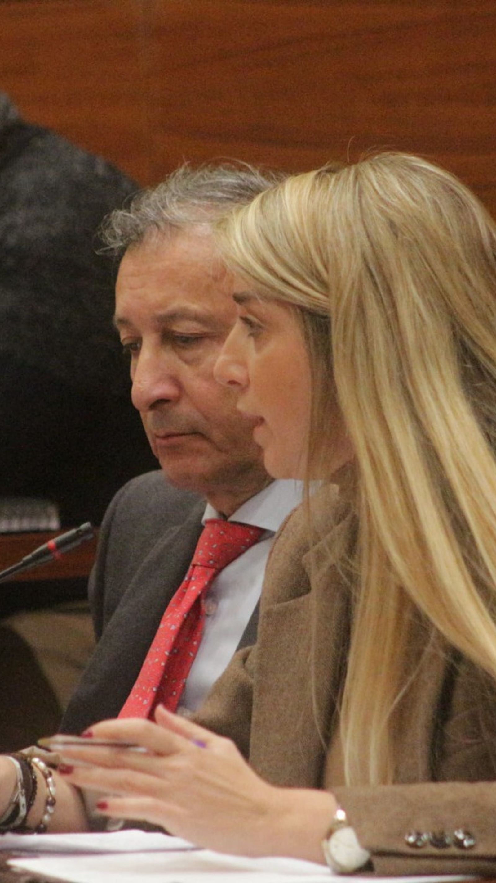 Isabel Butrón, interviniendo en el Pleno.