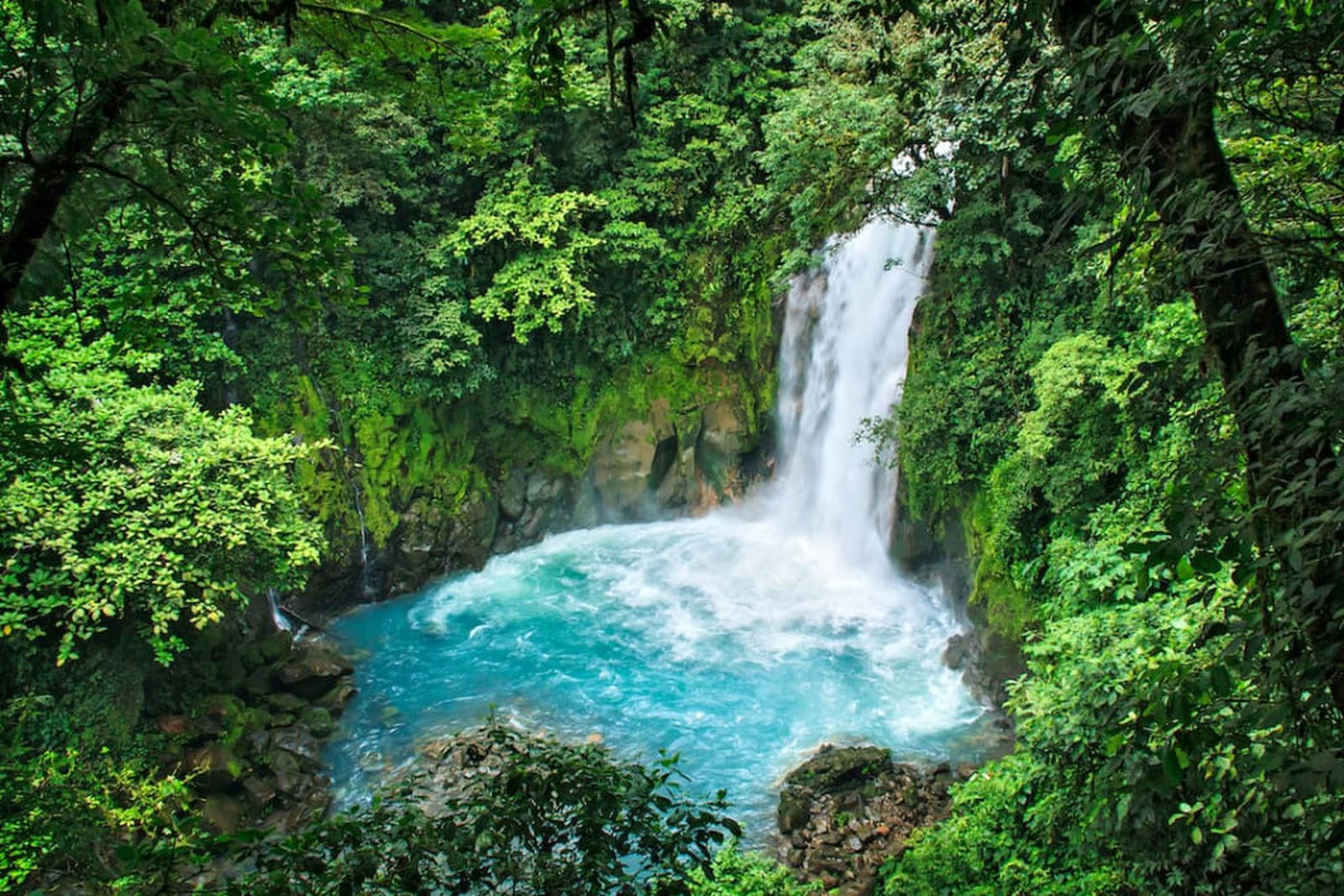 Un paisaje excepcional en plena selva en Costa Rica