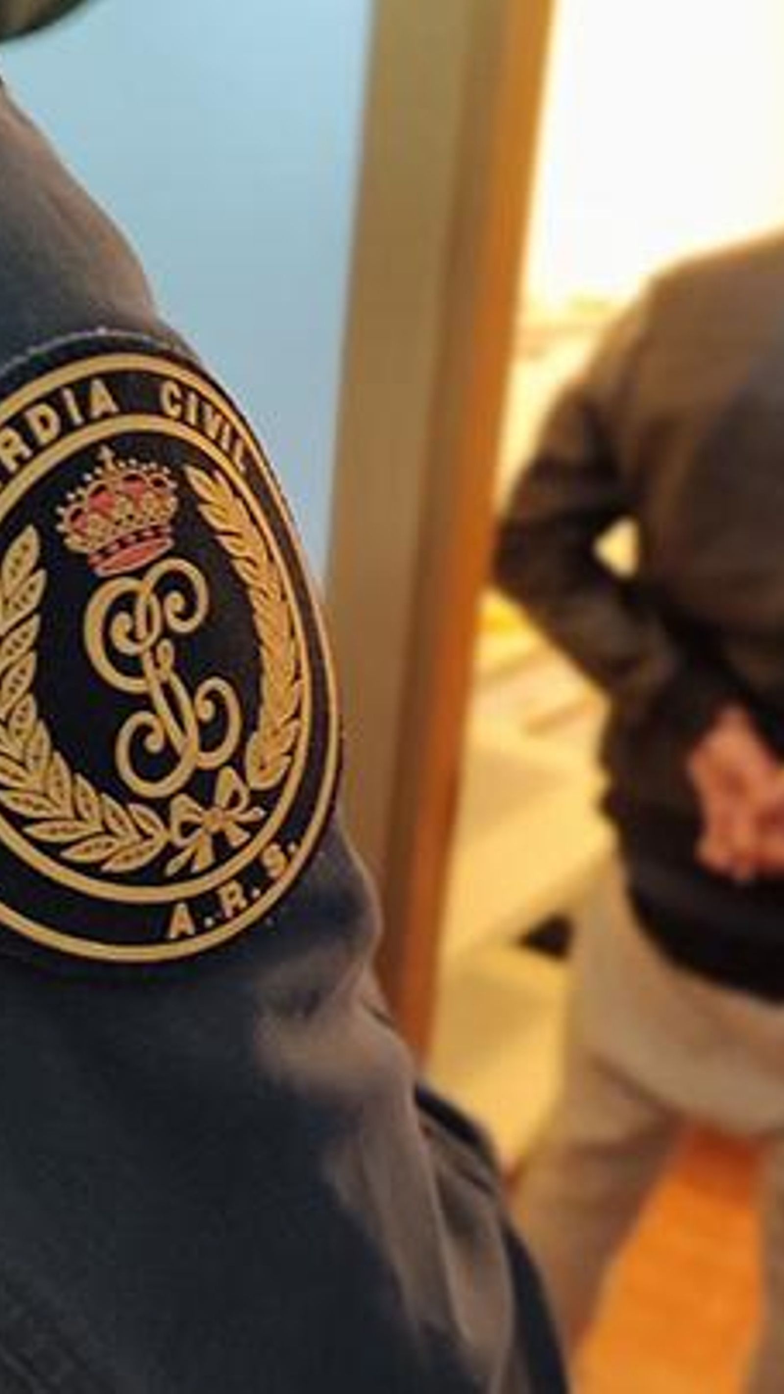 El detenido en San Blas.