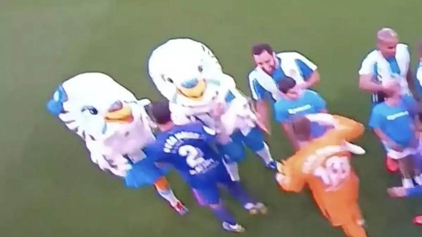 Un momento del presunto abuso sexual a la mascota.