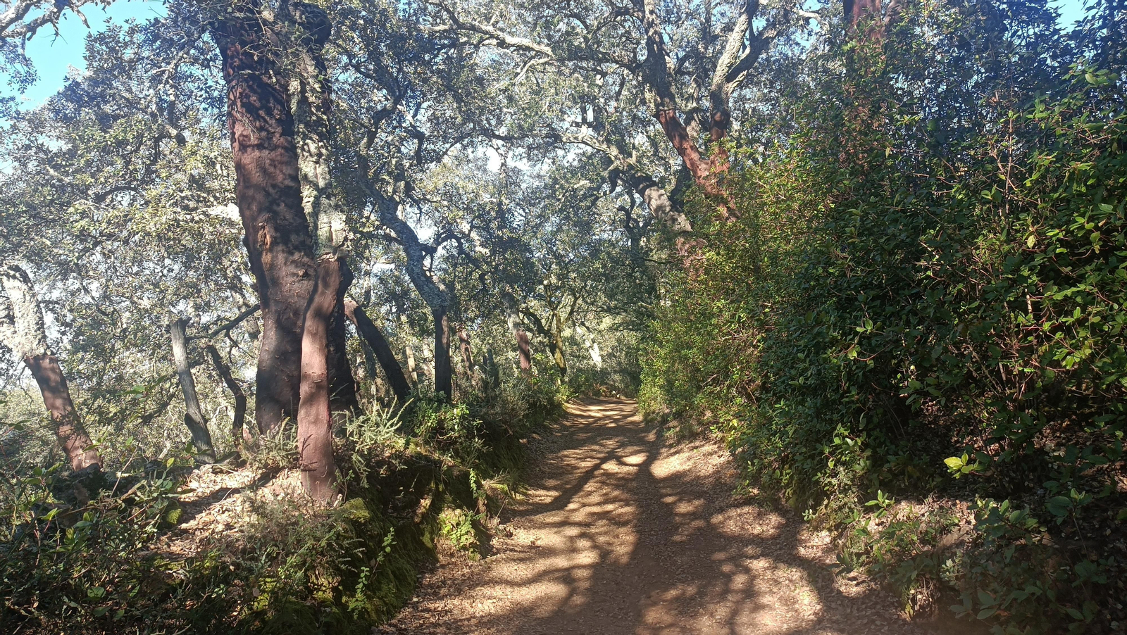 El camino sigue subiendo.