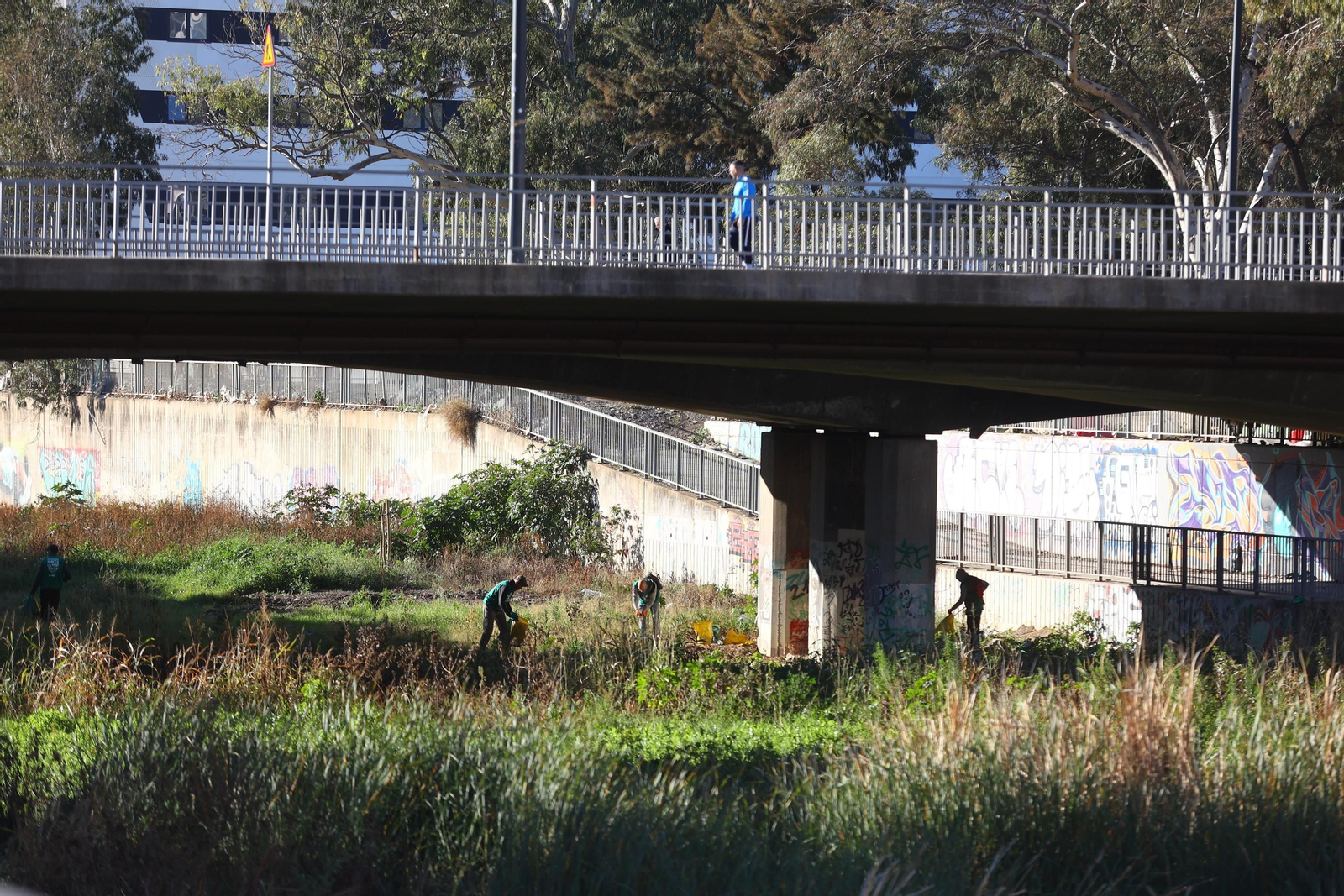Puente de La Rosaleda, lugar donde se han centrado las tareas de limpieza del Guadalmedina.