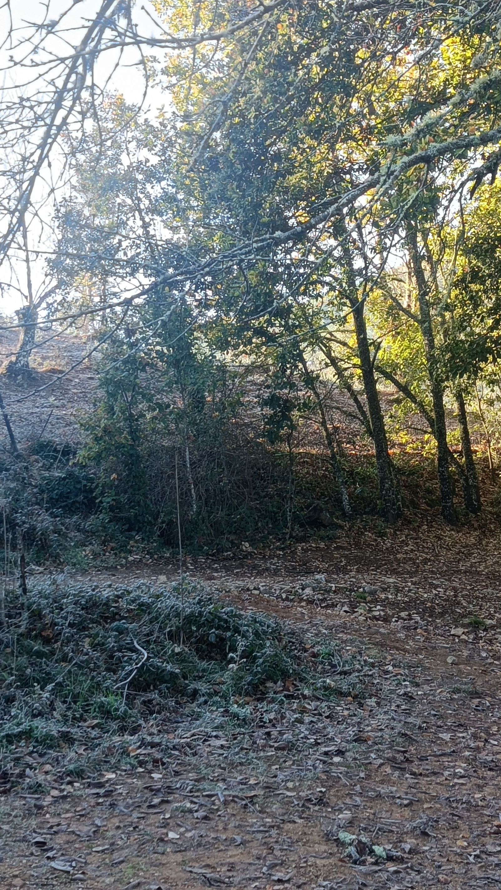 En los cruces tendremos señales indicativas muy claras. Pasaremos dos veces por este cruce.