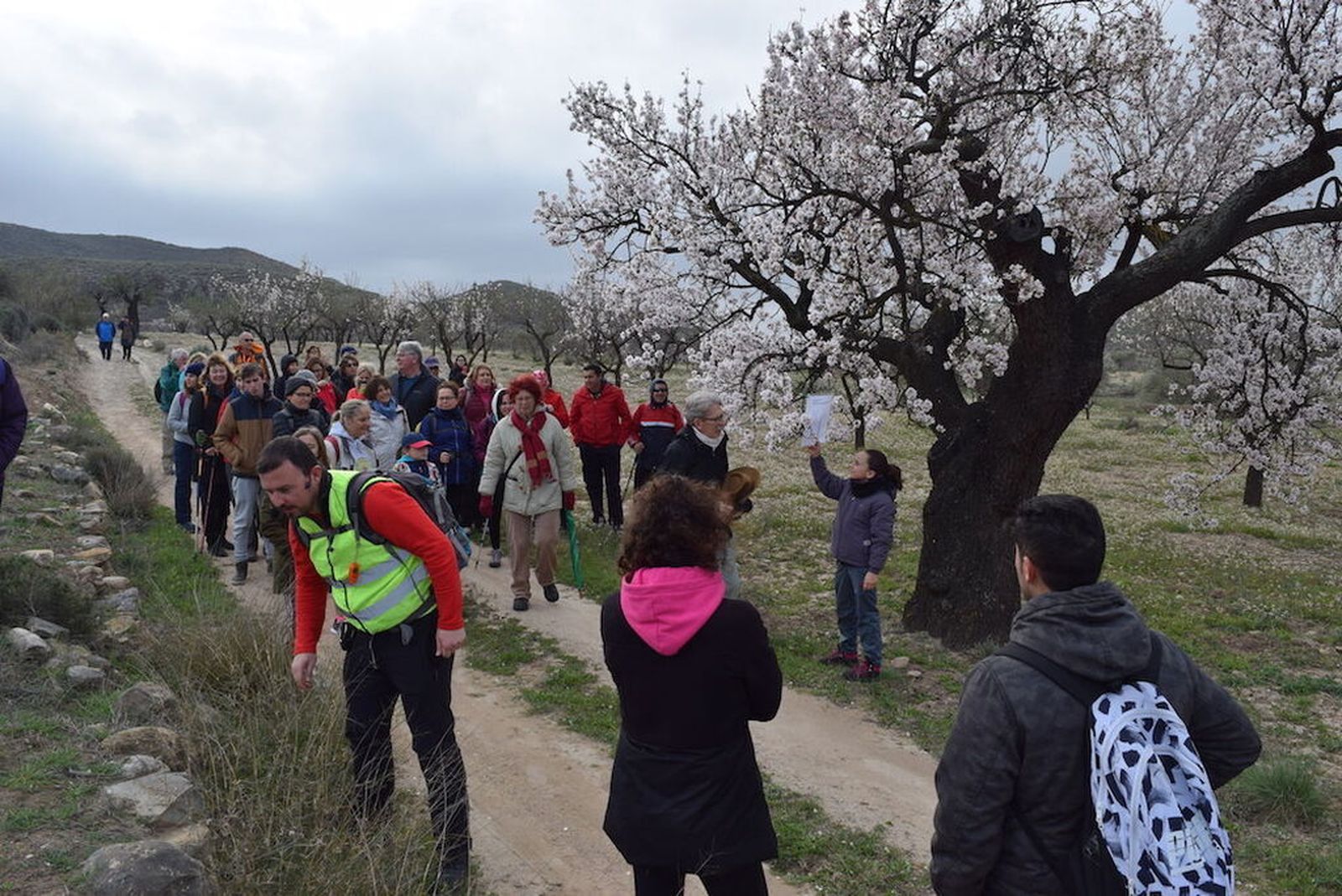 Una de las rutas que se celebraron el año pasado en Lubrín.
