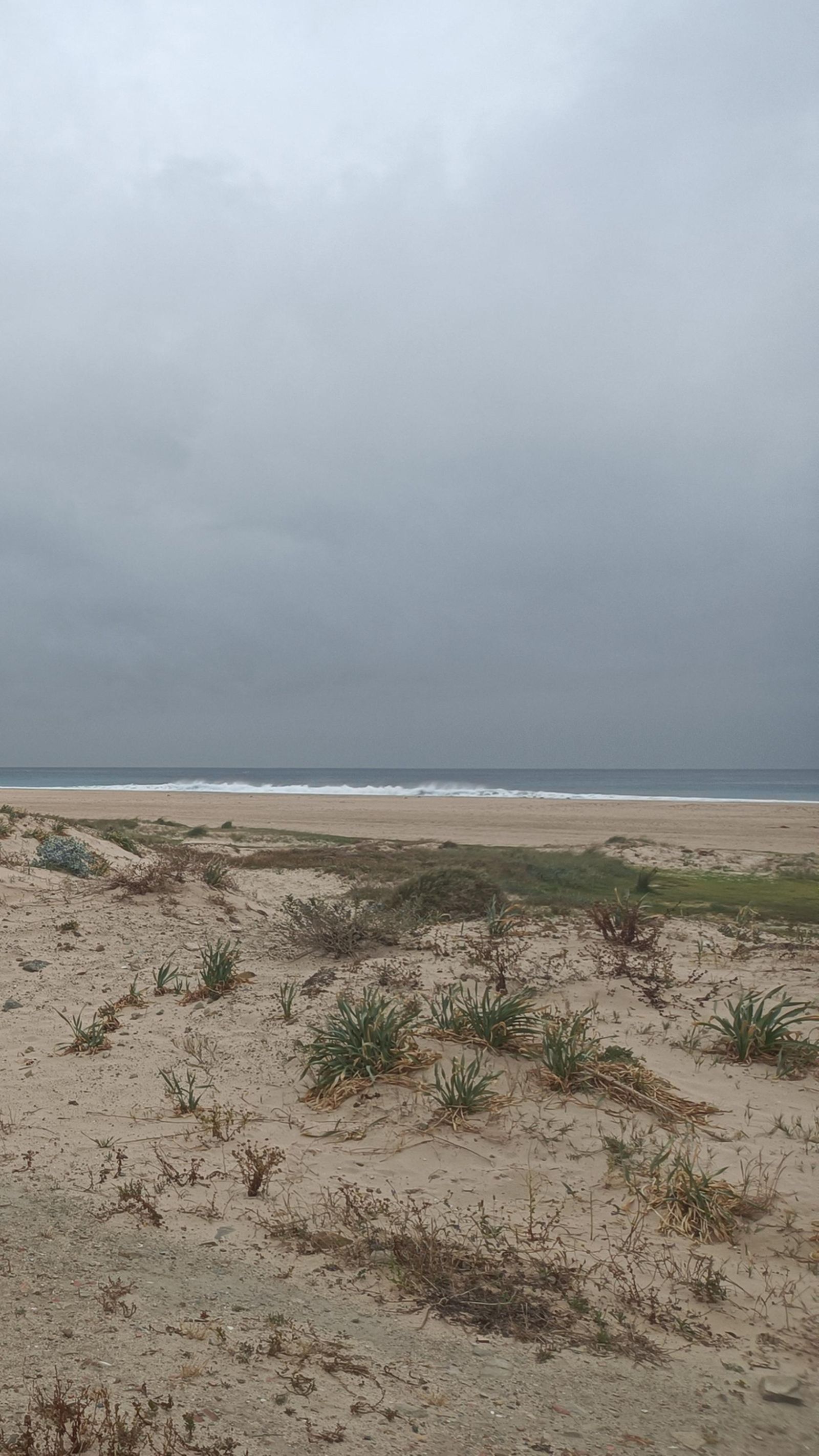 En esta etapa vamos a ir casi todo el tiempo junto a la costa.