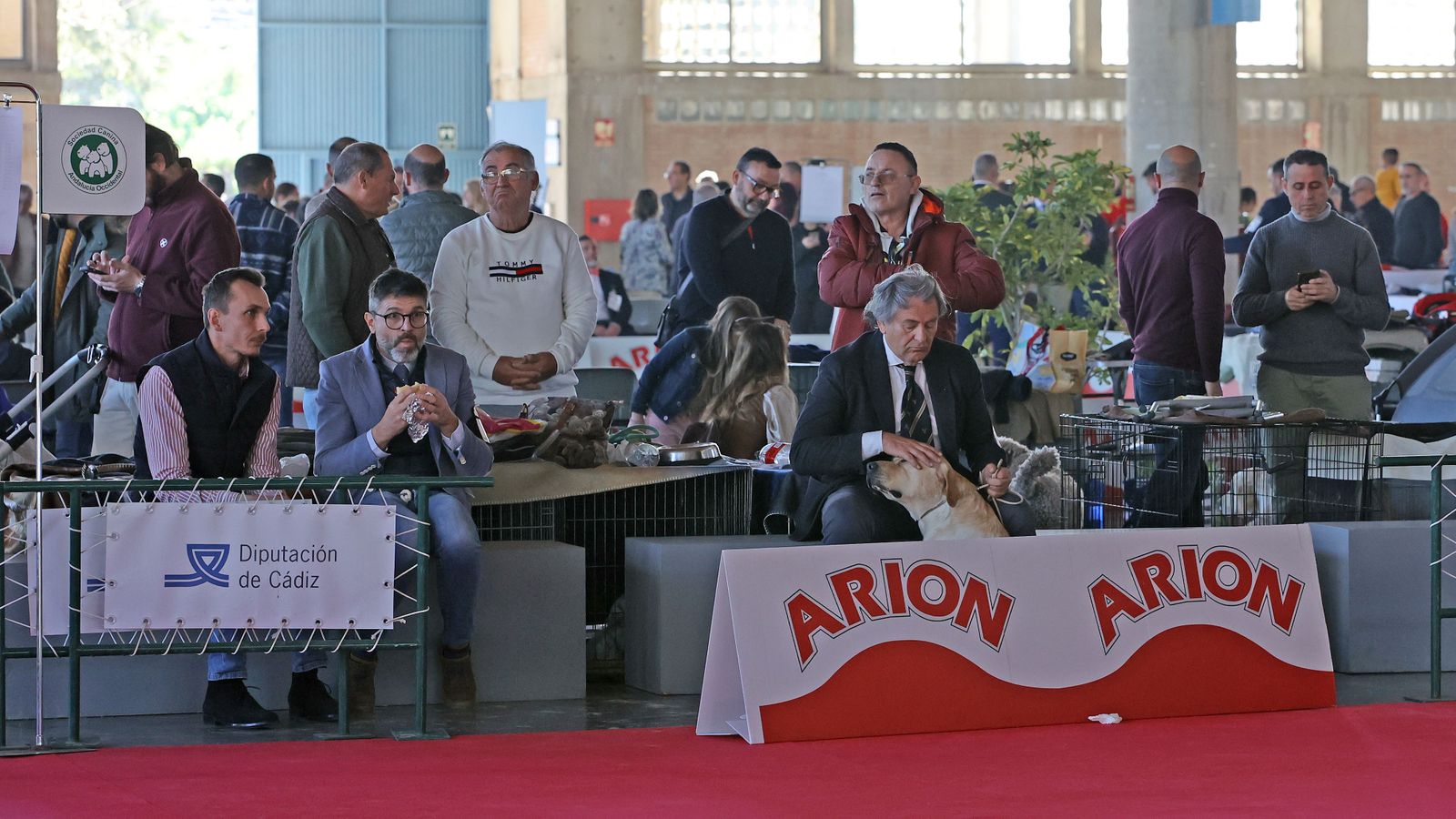 Imágenes de la 49ª edición de la Exposición Nacional Canina y la 25ª edición de la Exposición Internacional Canina en IFECA Jerez