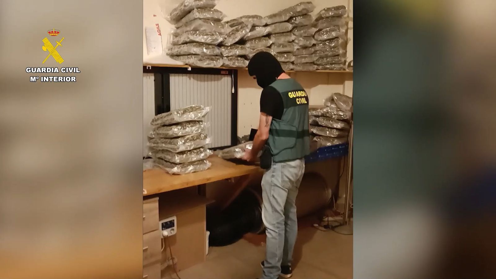 Operación de la Guardia Civil contra el envío de droga por paquetería