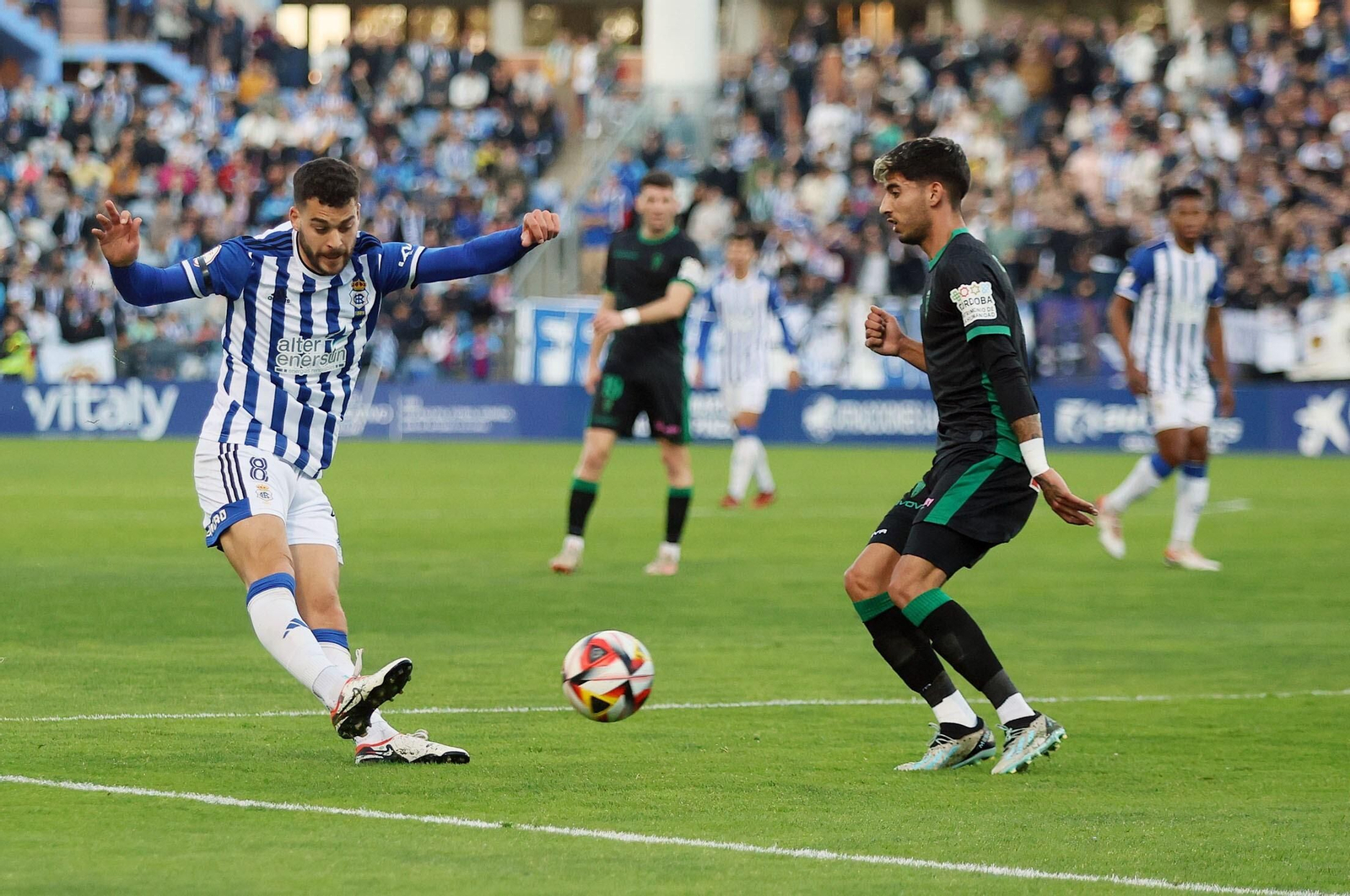 Las mejores fotos del ambiente en el Nuevo Colombino para el Recre - Córdoba CF