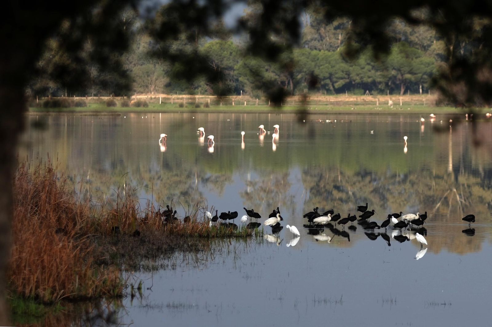 Vista del Parque Nacional de Doñana.