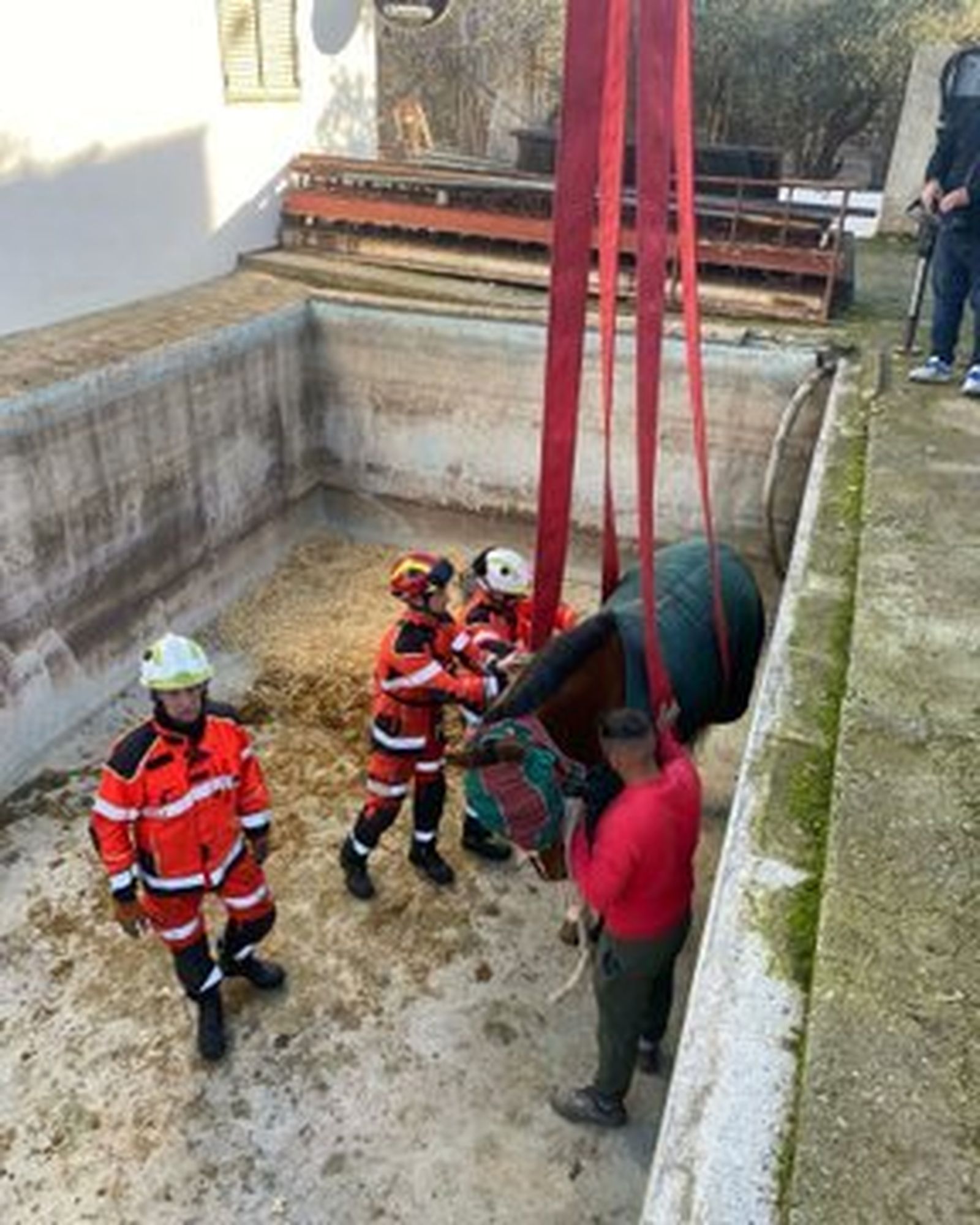 Así rescataron los bomberos a un caballo de una piscina vacía en Peligros