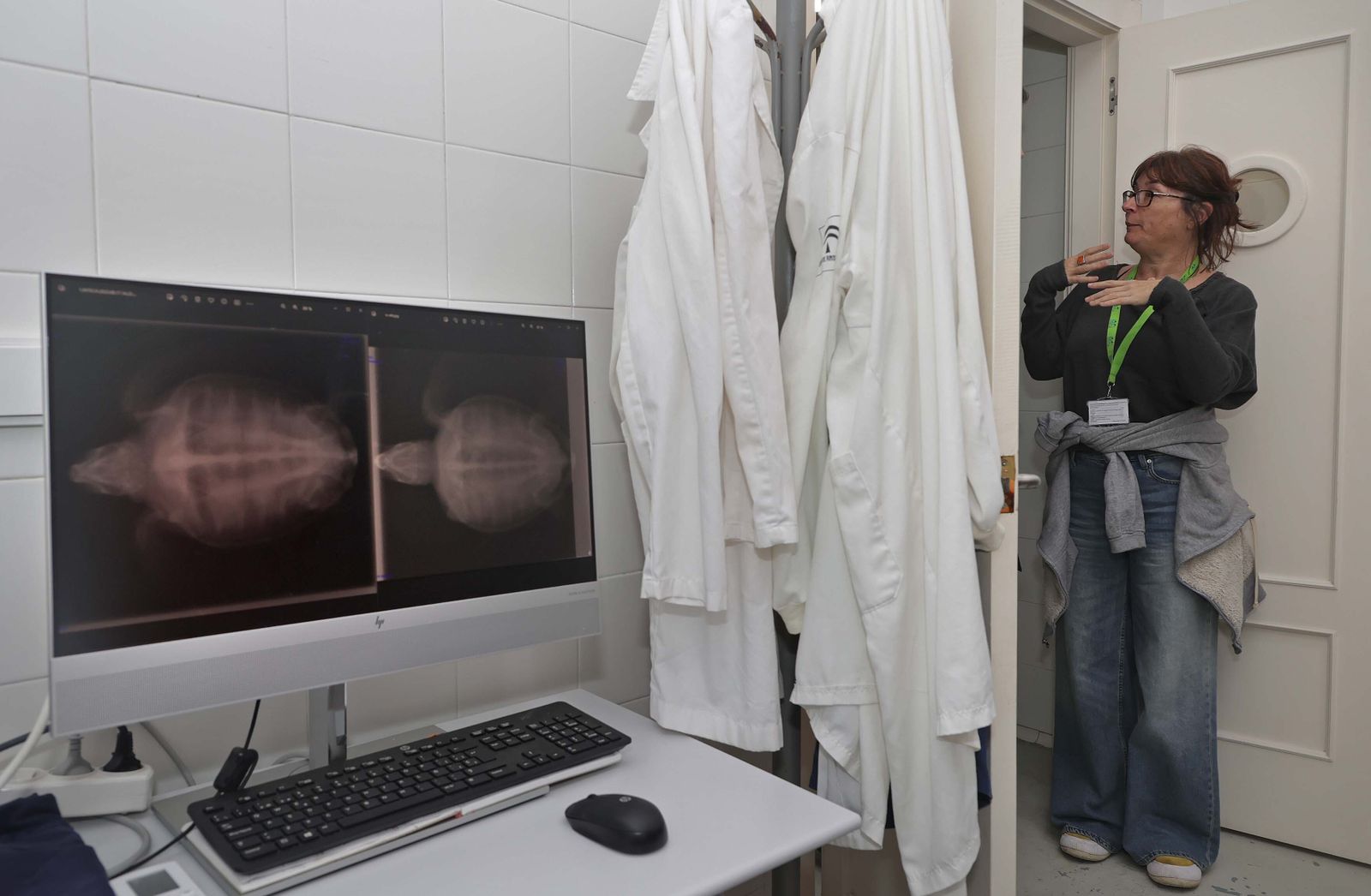 El Centro de Gestión del Medio Marino Andaluz (CEGMA) de Algeciras, en imágenes