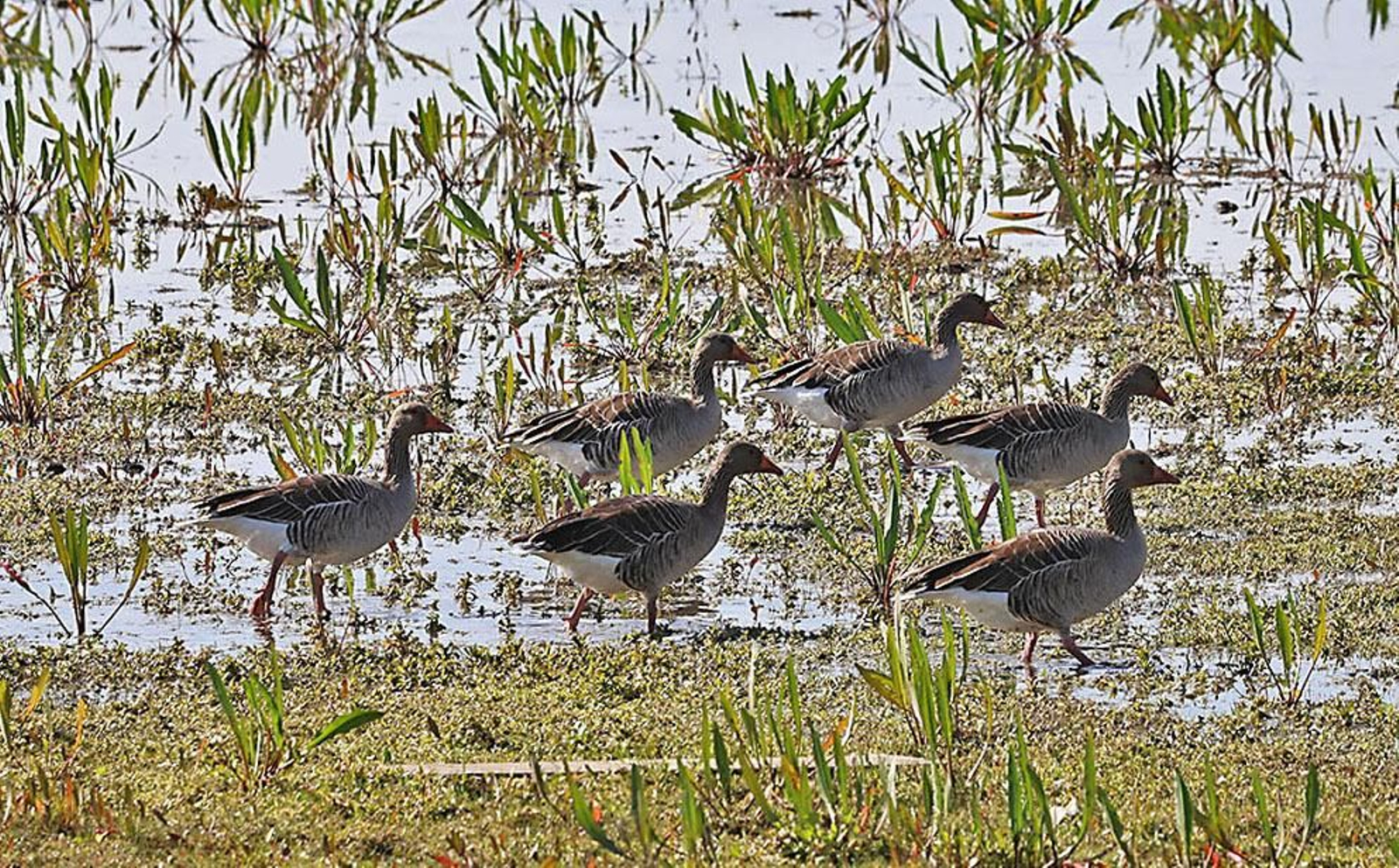 Las imágenes más destacadas del domingo 4 de febrero en Huelva