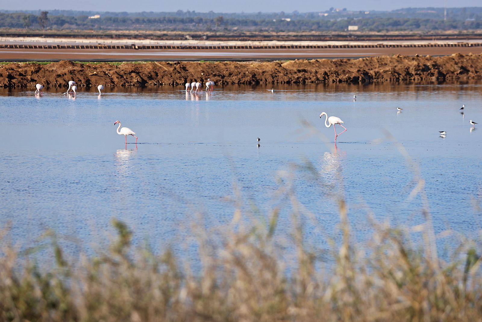 Las imágenes más destacadas del viernes 2 de febrero en Huelva