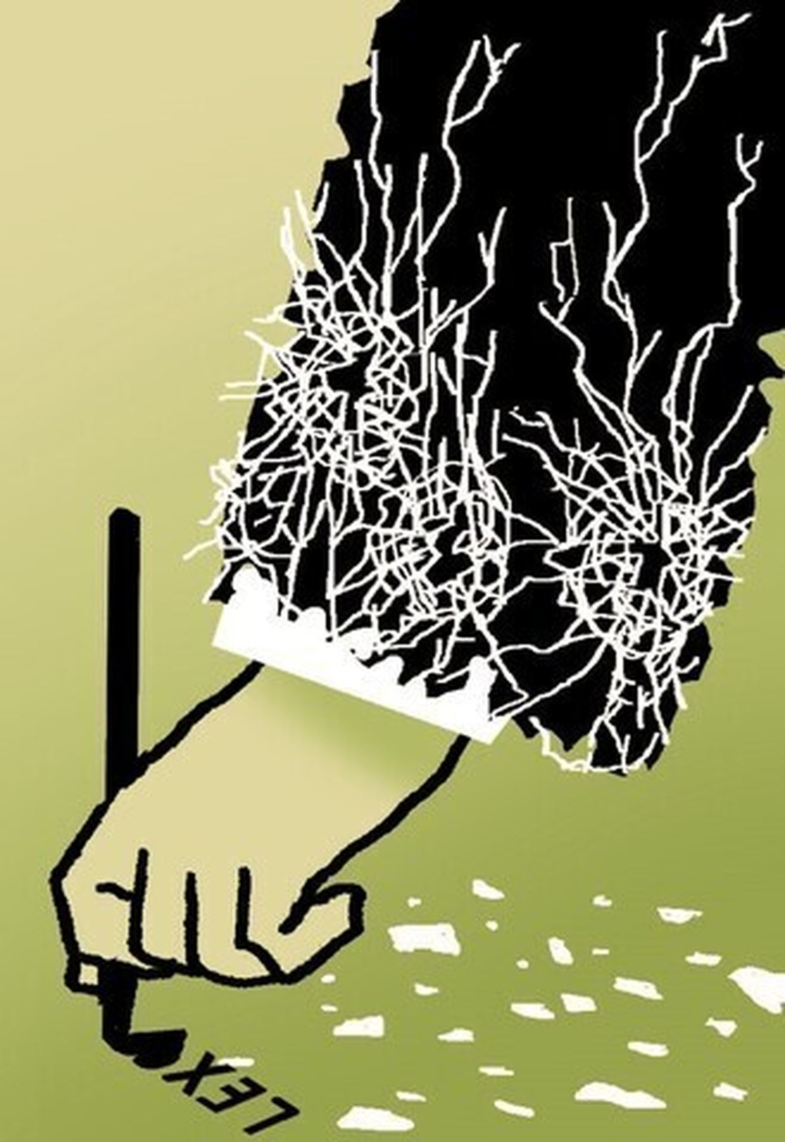 La amnistía y la realidad