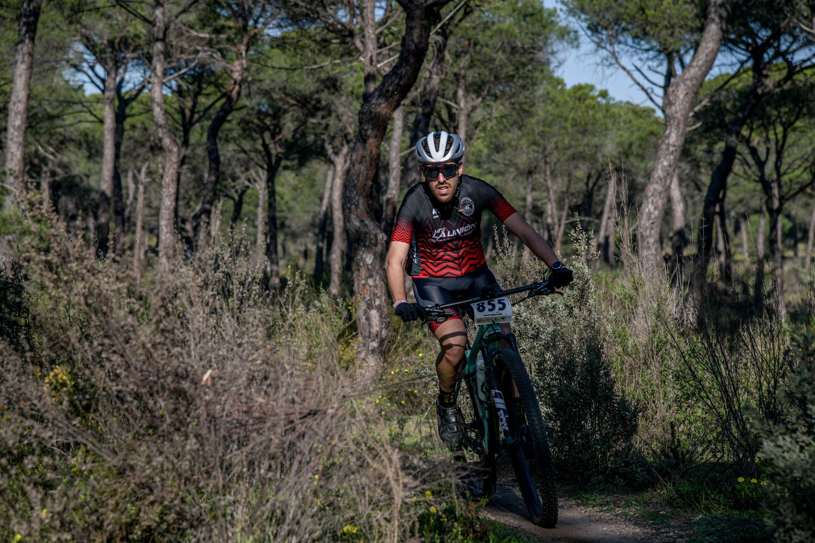 Las imágenes de la tercera etapa de La Leyenda de Tartessos by Alé