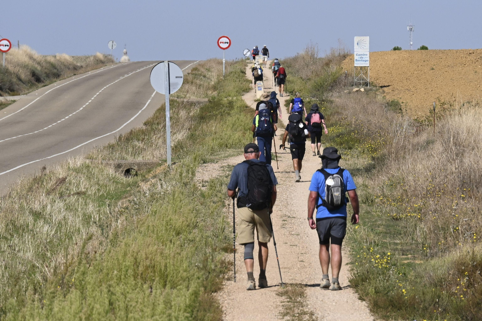 Peregrinos caminan un tramo del Camino  de  Santiago  francés  en la provincia de  Palencia
