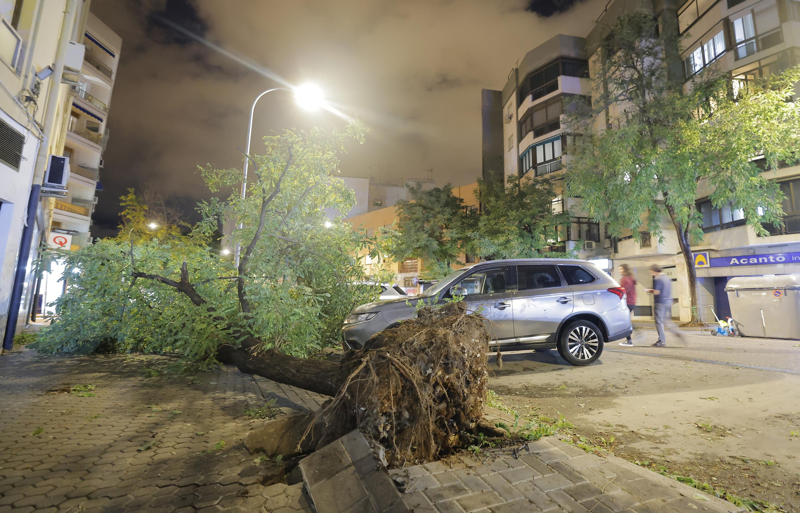 Efectos de la borrasca 'Bernard' en Sevilla
