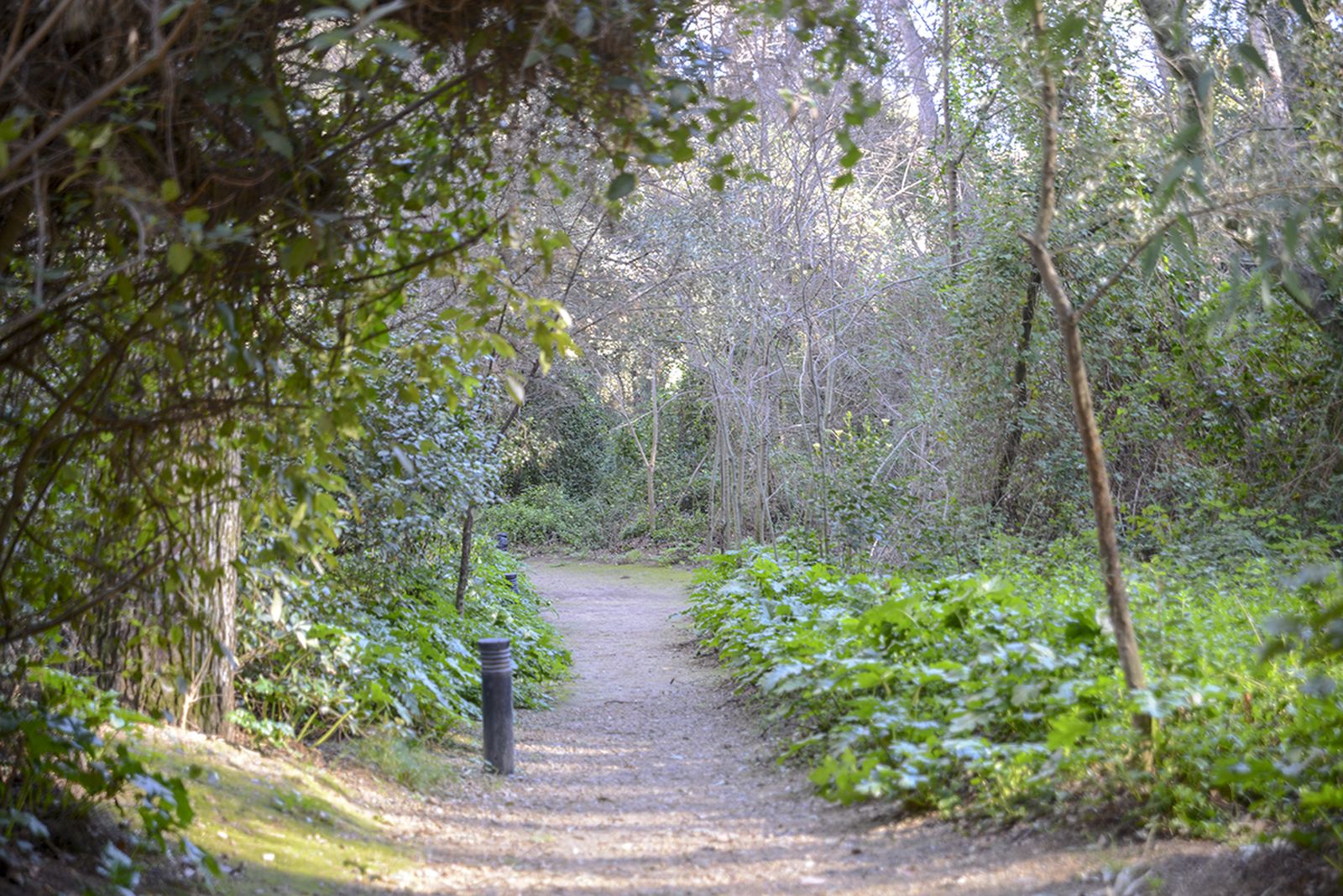 Los jardines diseñados por Cecilio Rodríguez Cuevas te invitan a dar un tranquilo paseo entre terrazas, fuentes y cenadores.