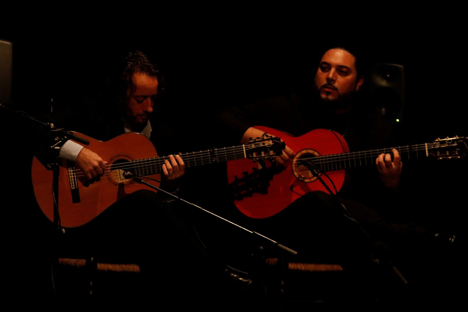 El homenaje del mundo del flamenco a El Calli, en imágenes