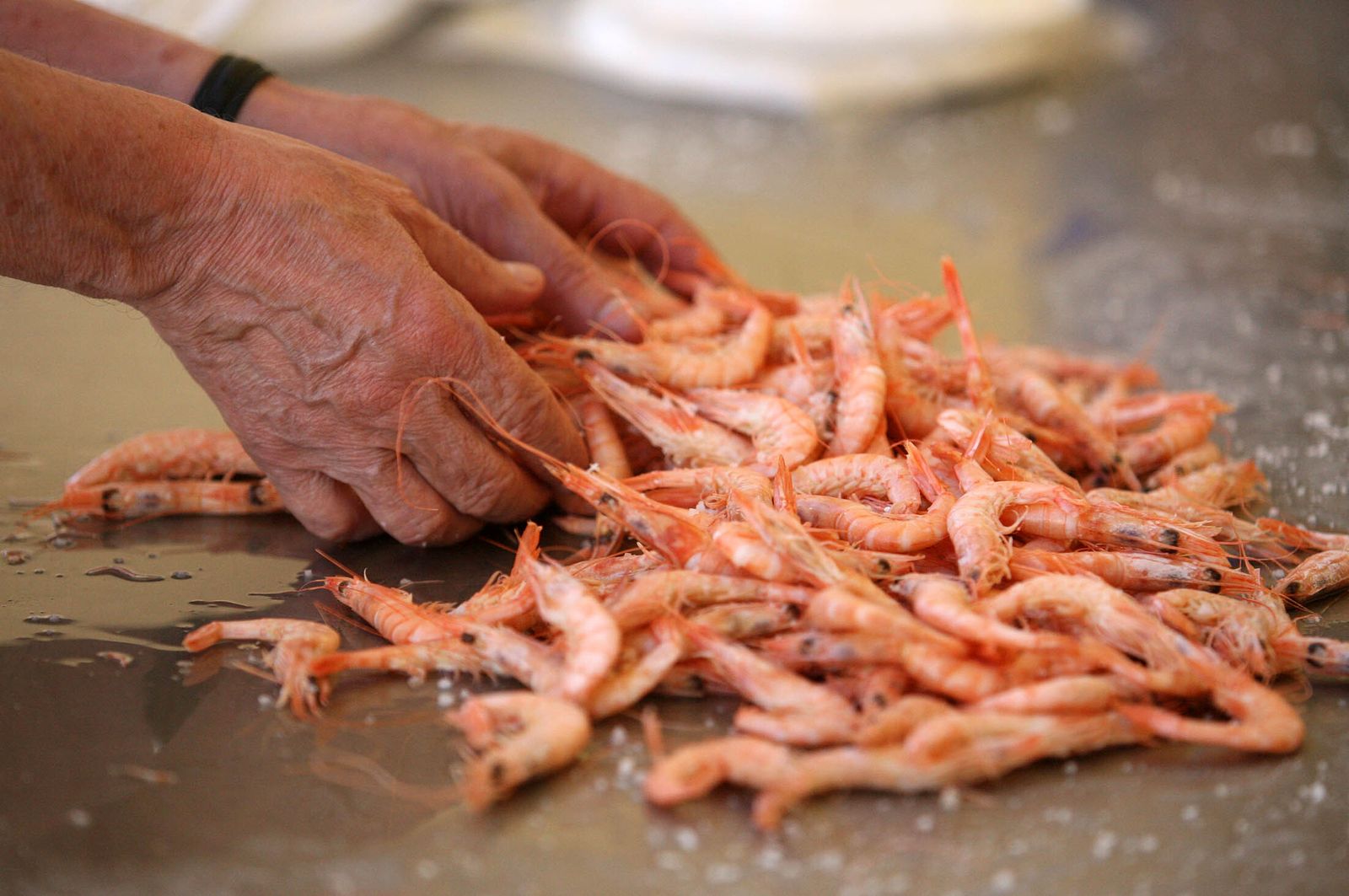 La gamba, uno de los tesoros gastronómicos de Huelva.