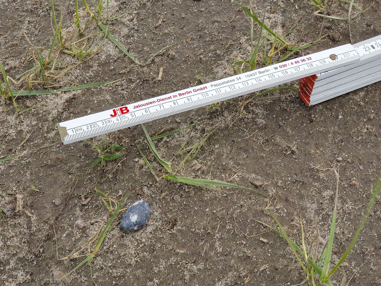 Hallados cerca de Berlín posibles fragmentos del asteroide 2024 BX1
