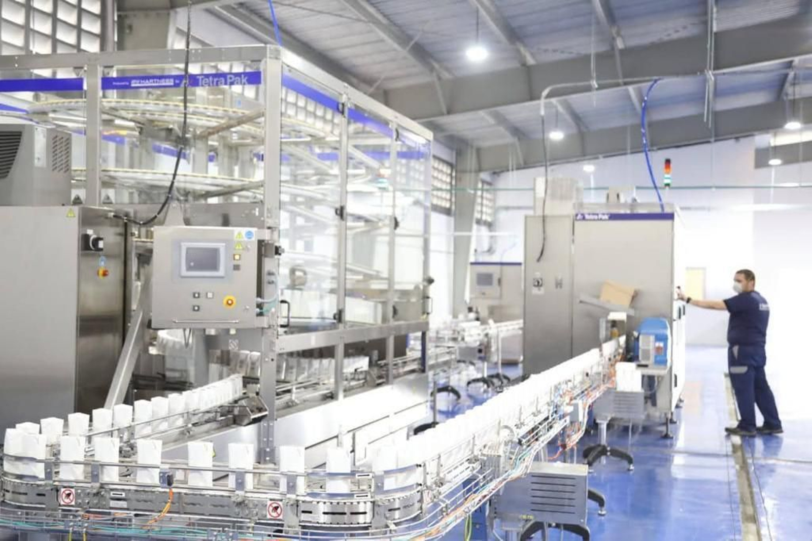 Un operario en la planta de envasado de Ly Company en Alhaurín de la Torre.