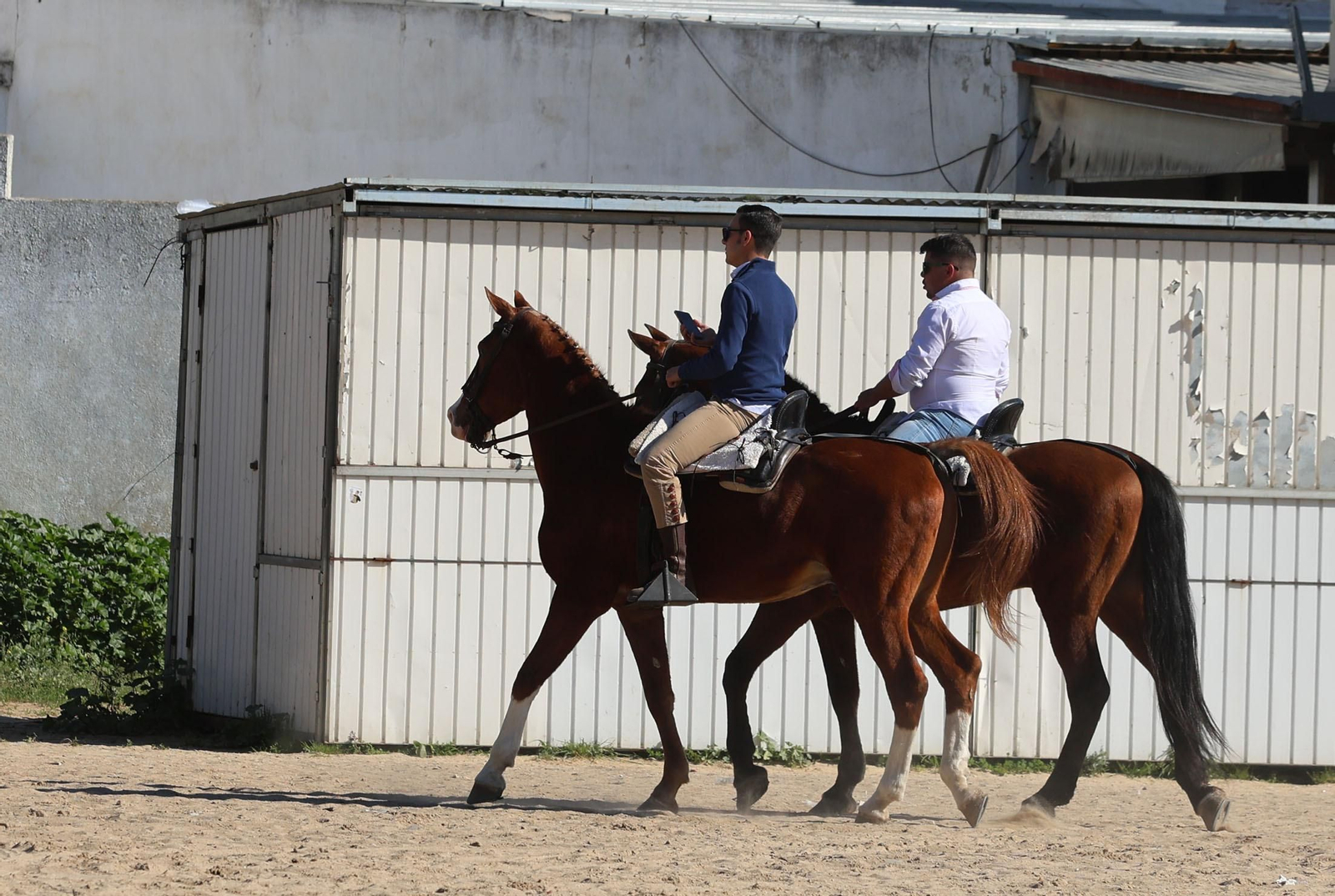 Imágenes del ambiente en la aldea del Rocío en la Candelaria 2024