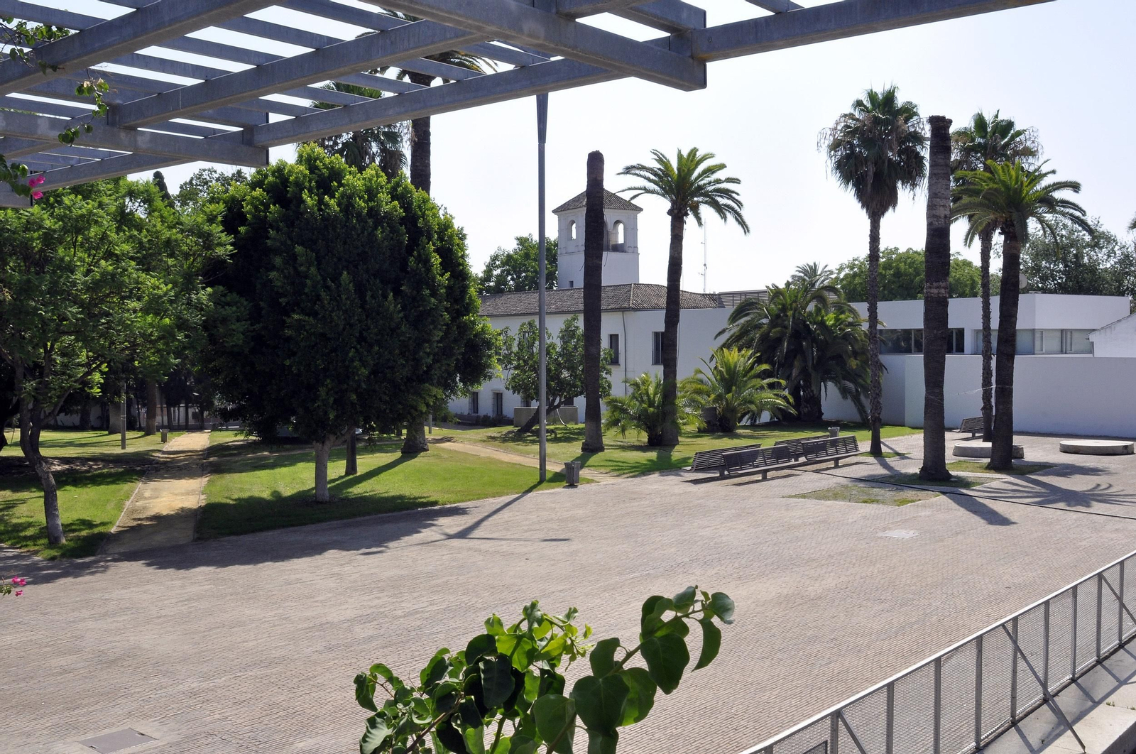 El Ayuntamiento de Tomares.