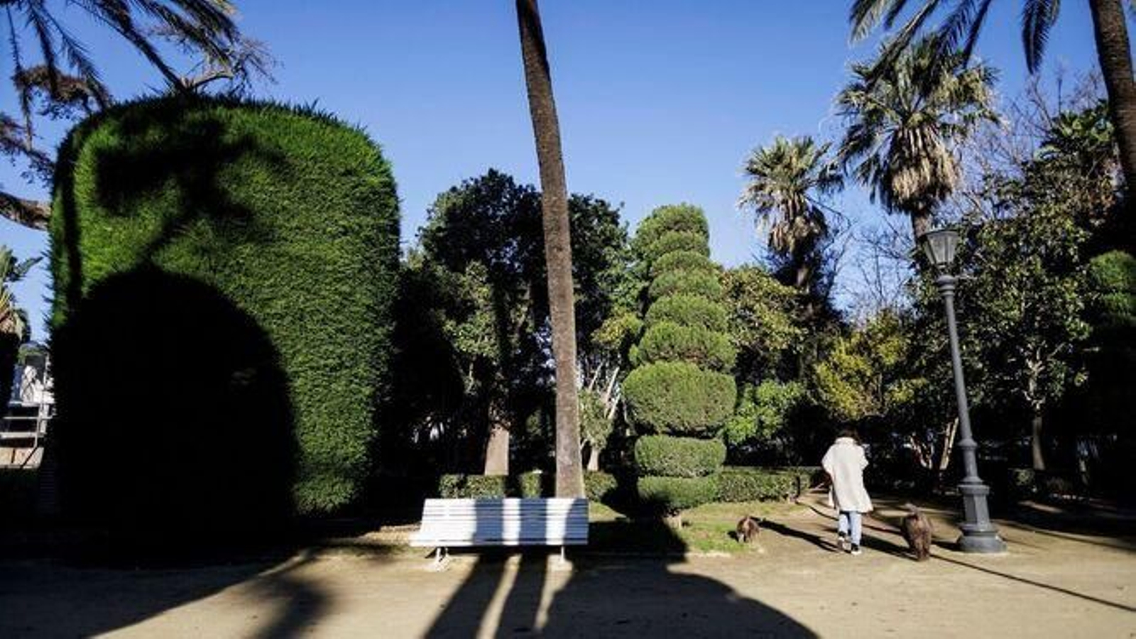 Interior del Parque Genoves Cadiz