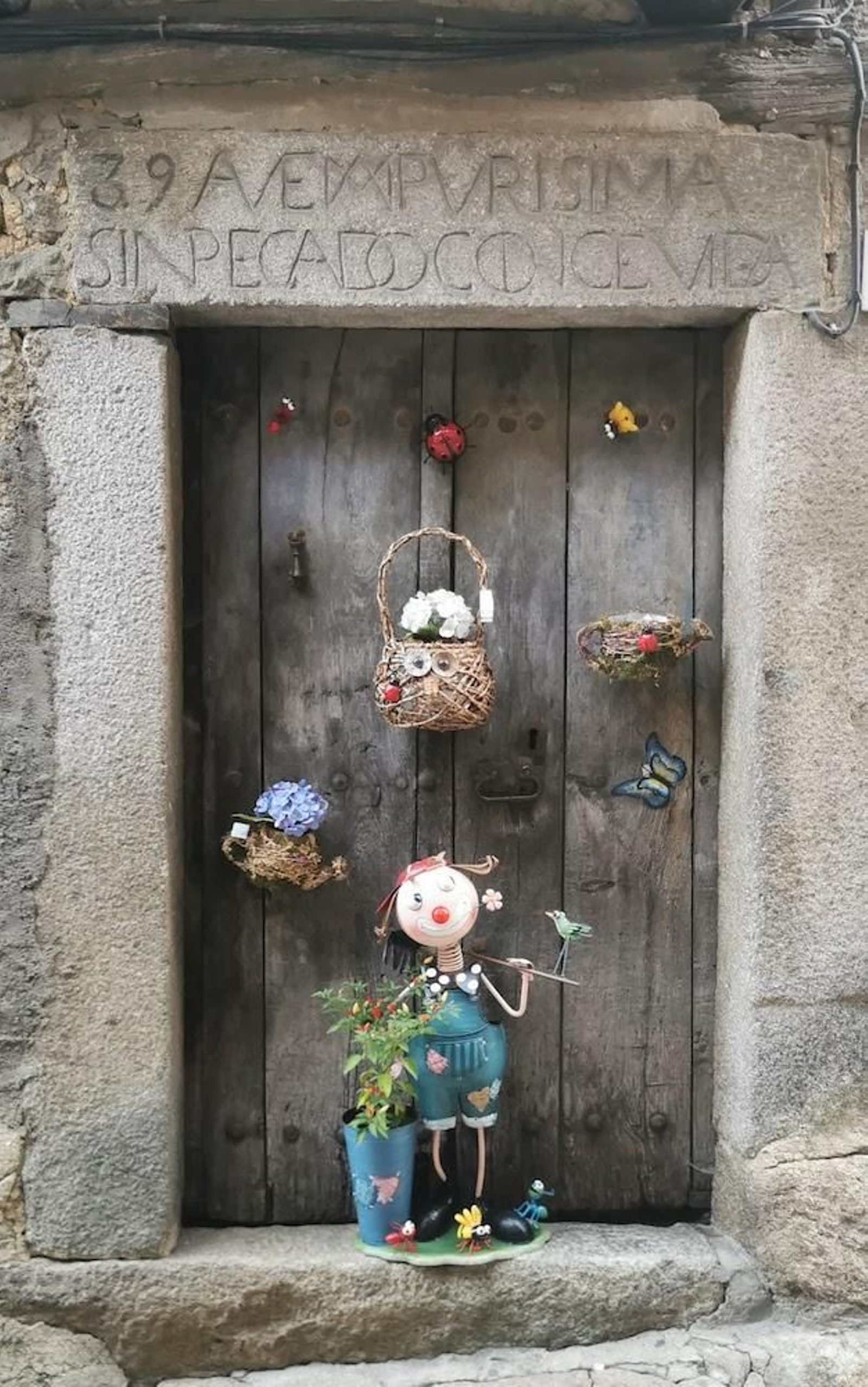 Imagen test Bitban punto focal