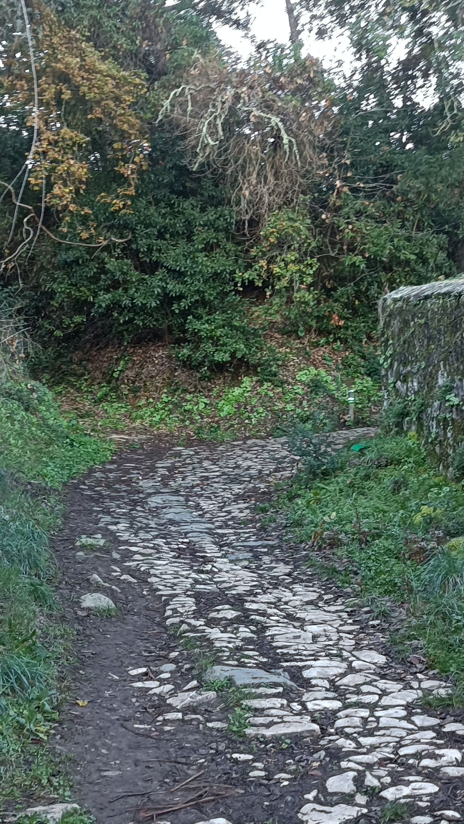 Los primeros metros van por un empedrado.