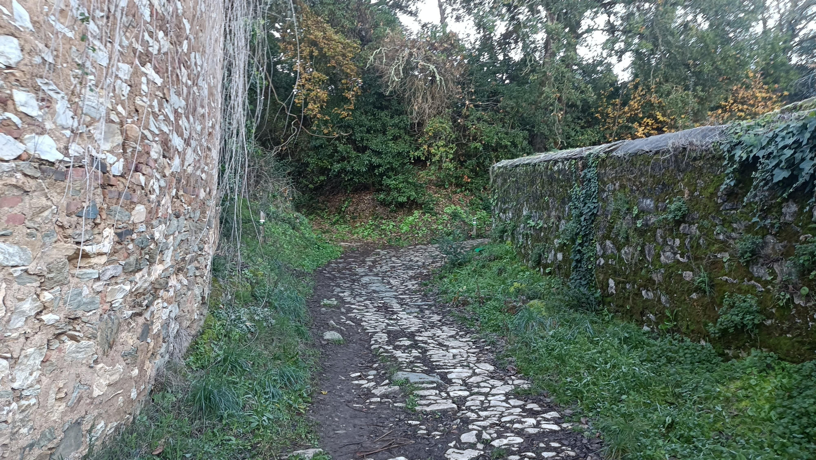 Los primeros metros van por un empedrado.