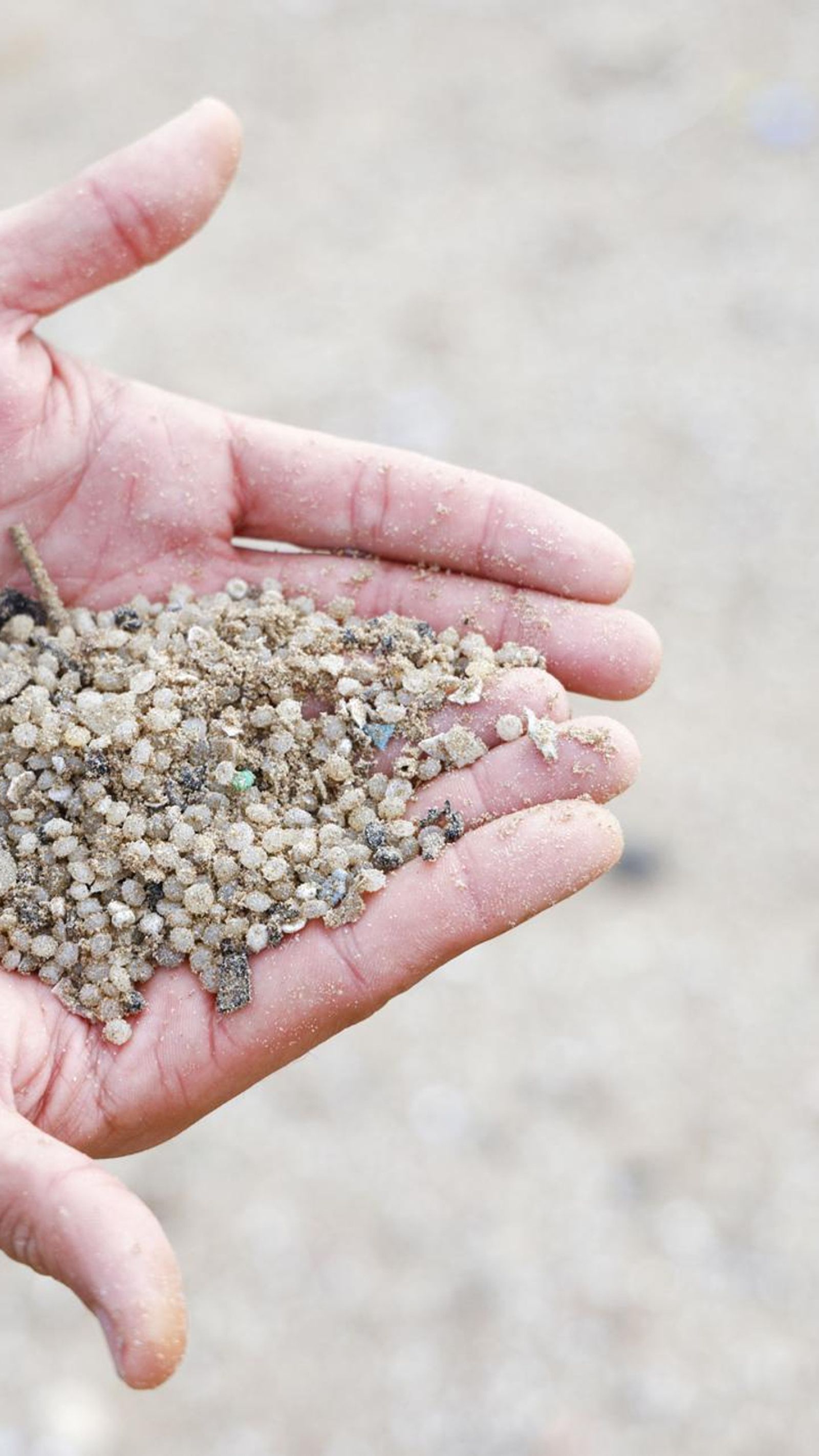 'Pellets' recogidos de una playa, en una imagen de archivo.