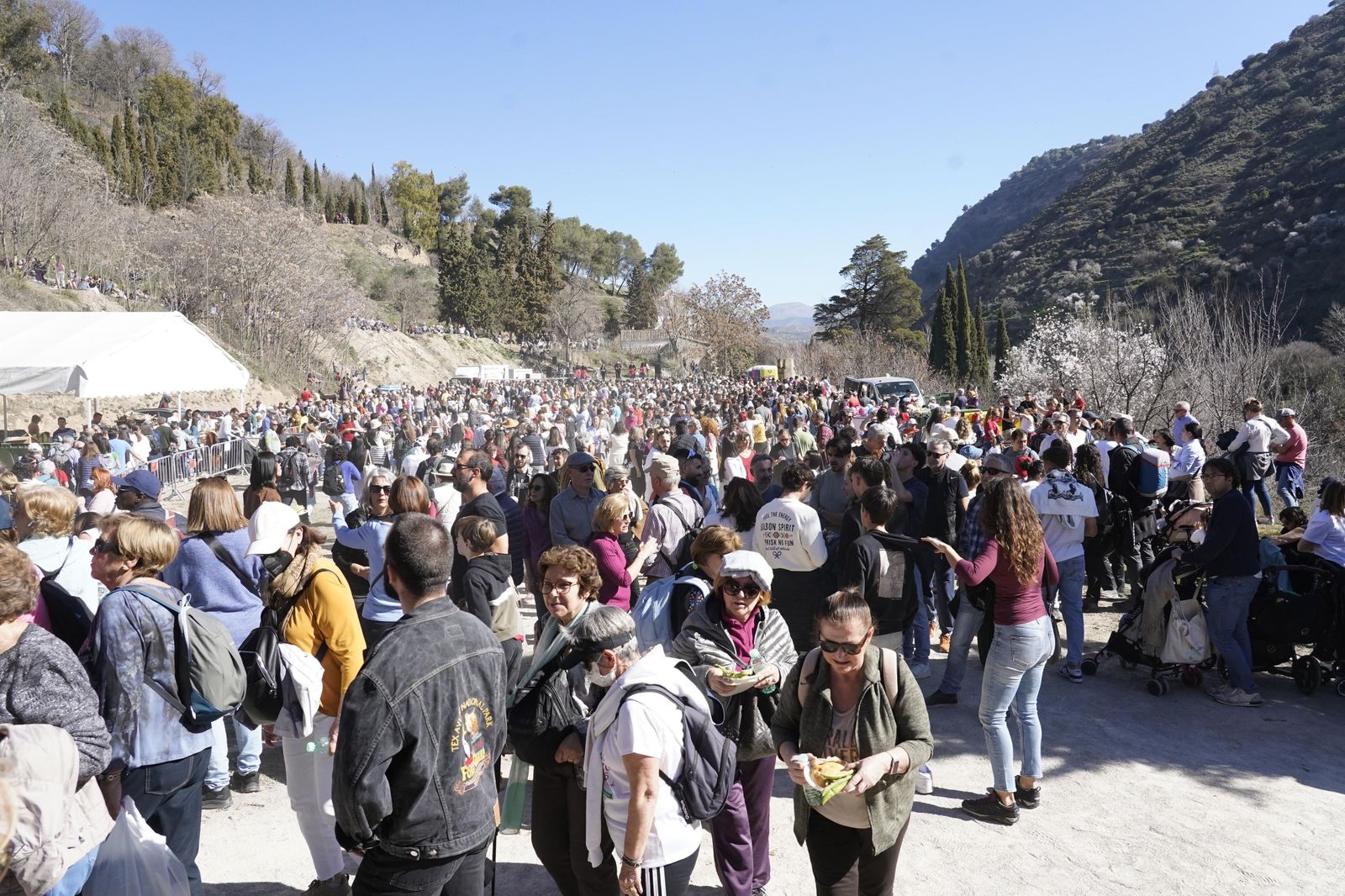 La romería de San Cecilio, en imágenes
