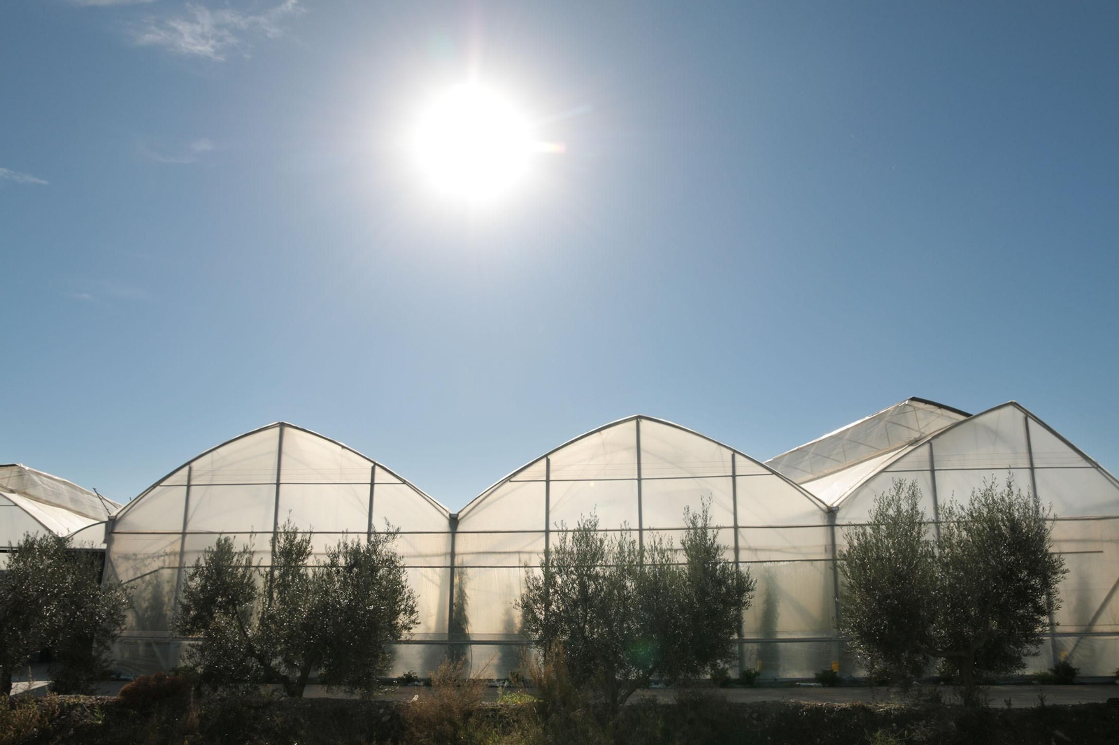 El estudio toma como ejemplo la agricultura de invernadero de Almería.
