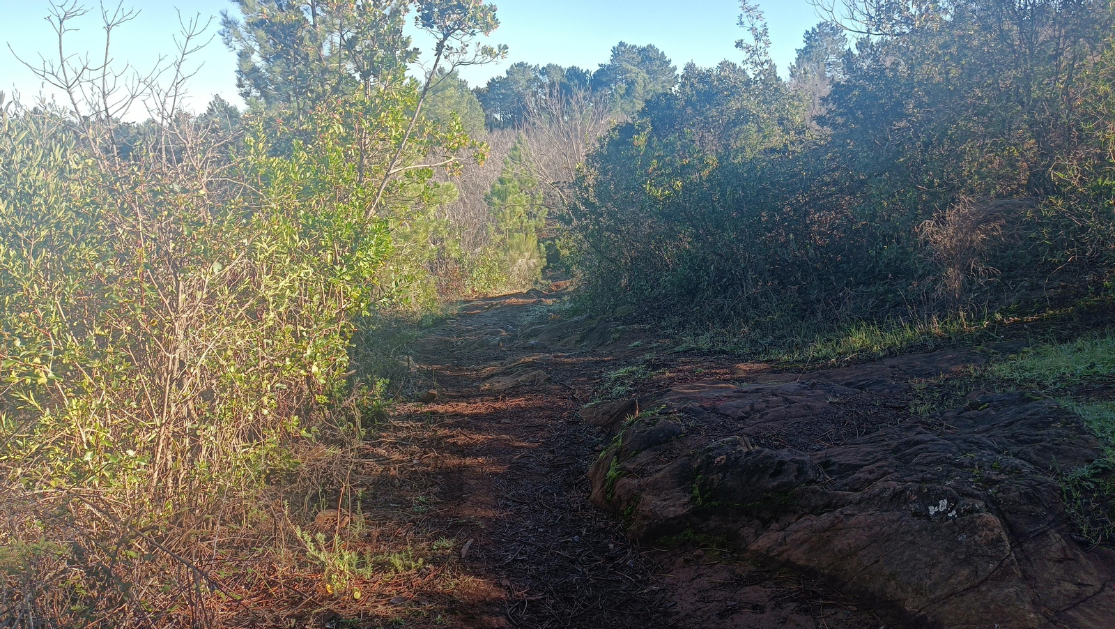Comienza la bajada por El Pedregal